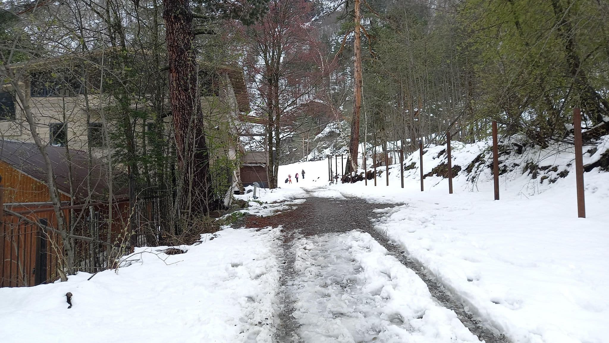 Street view near Отель "Сказка", Mizur — © azimuth (CC BY-SA · Mapillary)