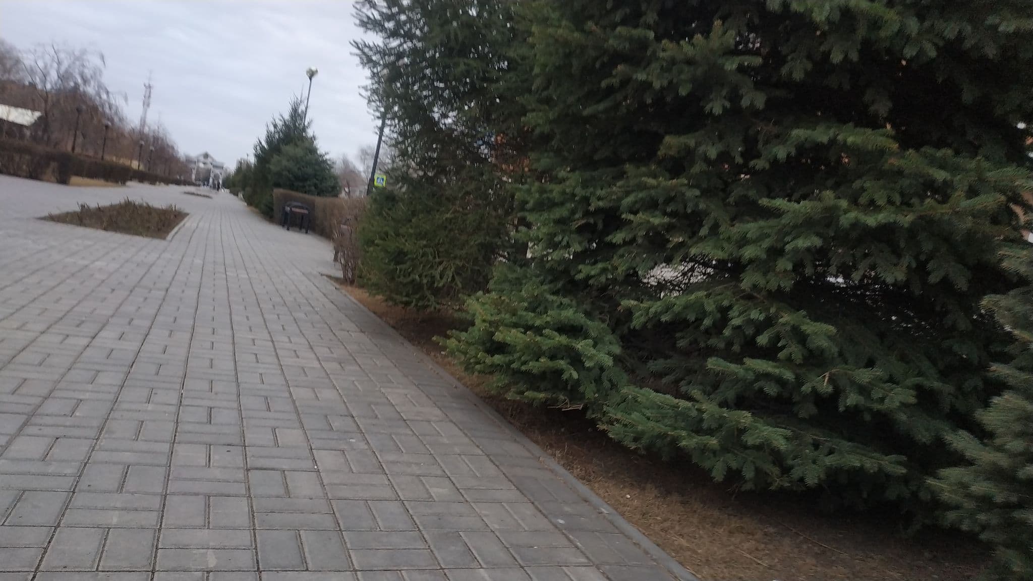 Street view near Петр I, Astrakhan — © trolleway (CC BY-SA · Mapillary)