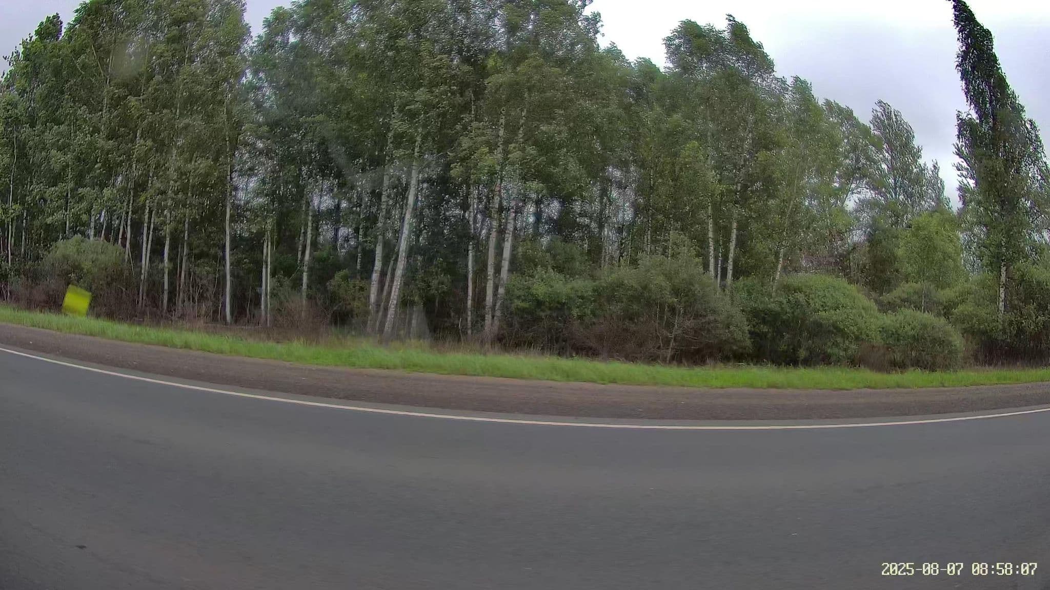 Street view near мотель "Островок", Ostrov — © slsmda (CC BY-SA · Mapillary)