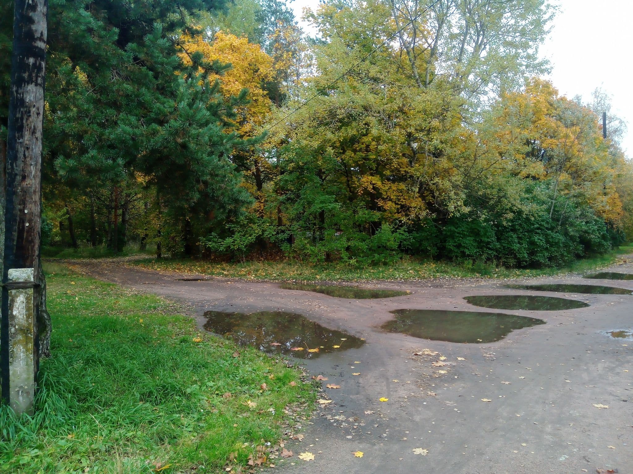 Street view near Razlivzaliv Hostel, Sestroretsk — © seeker (CC BY-SA · Mapillary)
