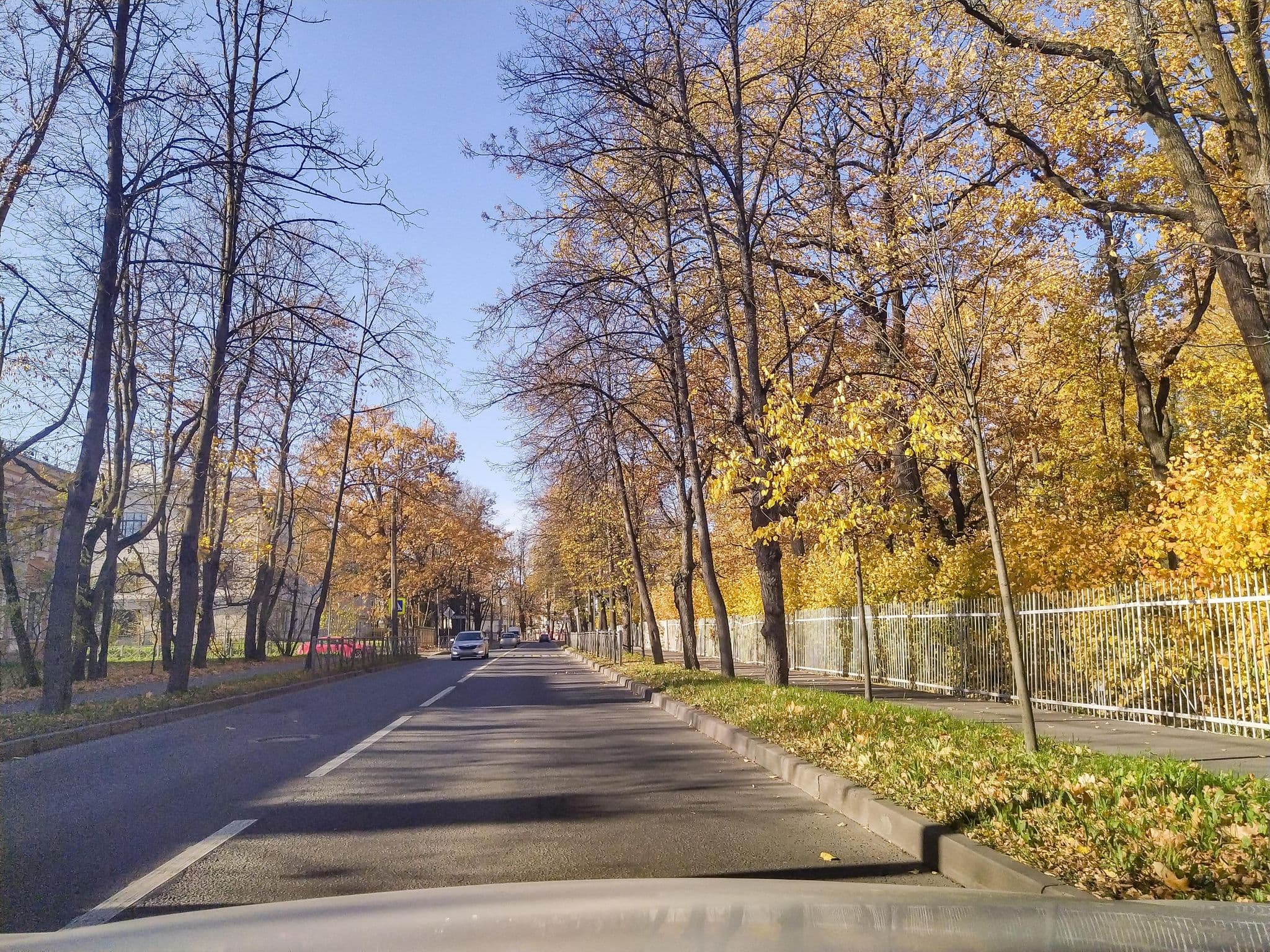 Street view near Отель Inlove, Pushkin — © ser9ei999 (CC BY-SA · Mapillary)