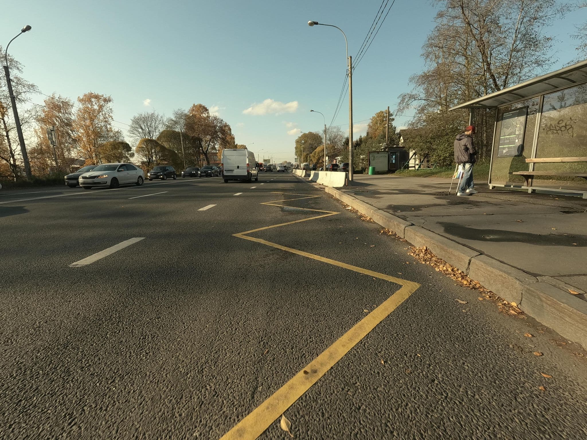 Street view near Hyatt, Pargolovo — © GaMiKo (CC BY-SA · Mapillary)