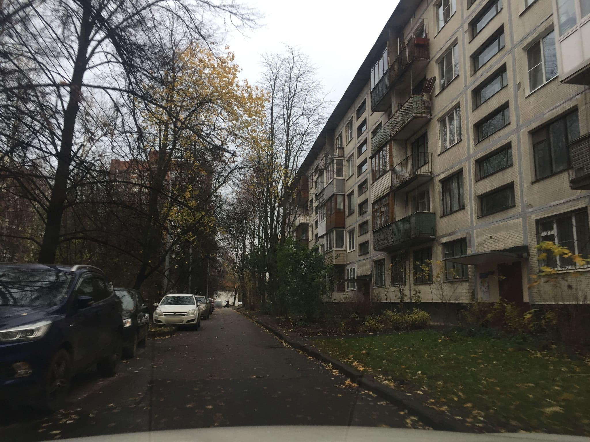 Street view near Малый конференц-зал, Grazhdanka — © ser9ei999 (CC BY-SA · Mapillary)
