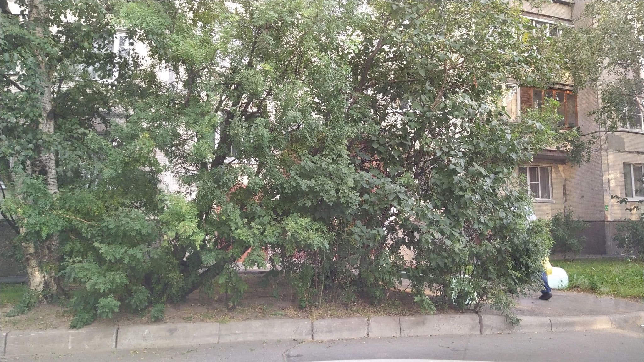 Street view near Собираюсь На Футбол⚽, Bugry — © ser9ei999 (CC BY-SA · Mapillary)