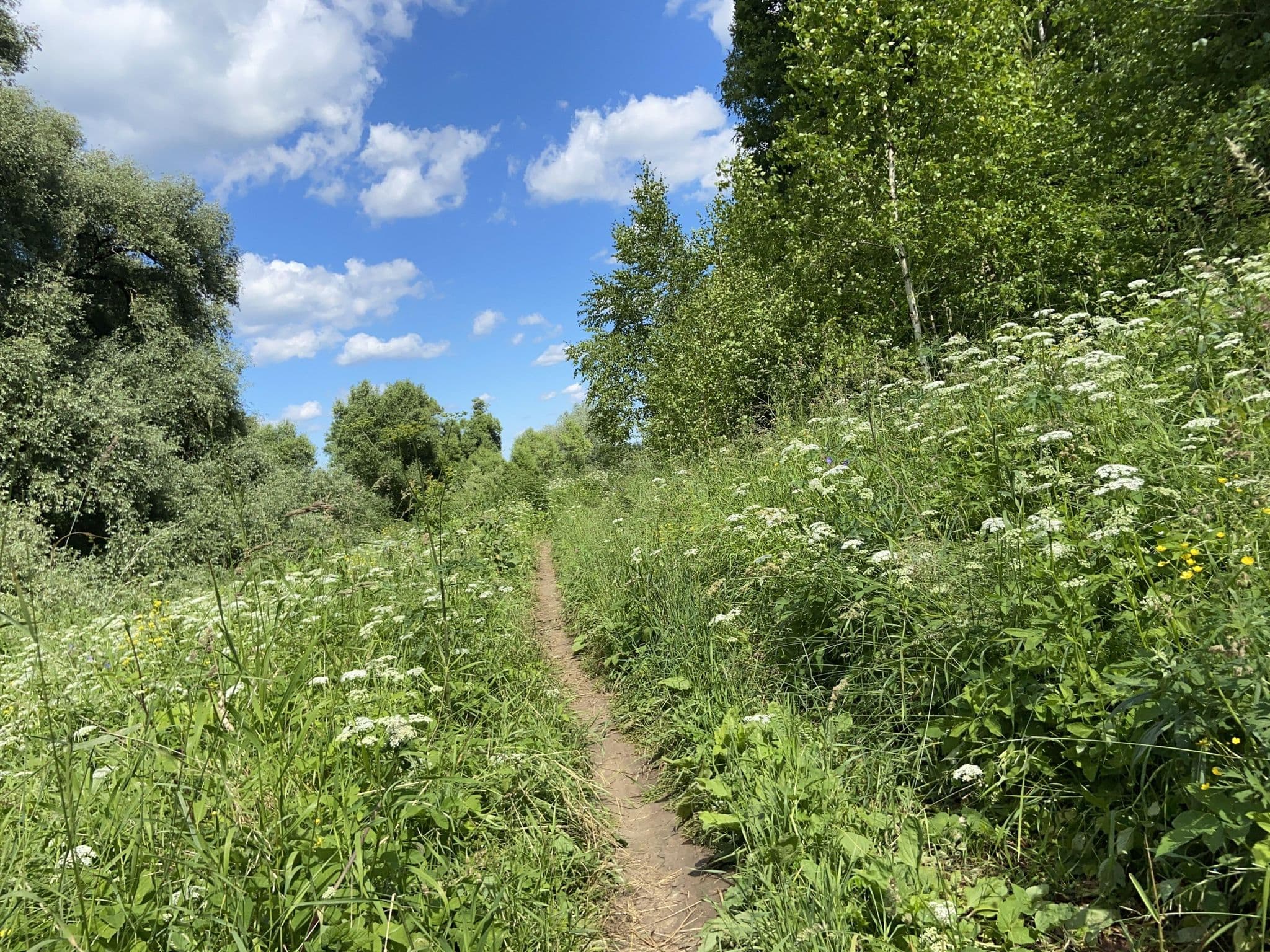 Street view near Балки, Karinskoye — © svetleyshiy (CC BY-SA · Mapillary)