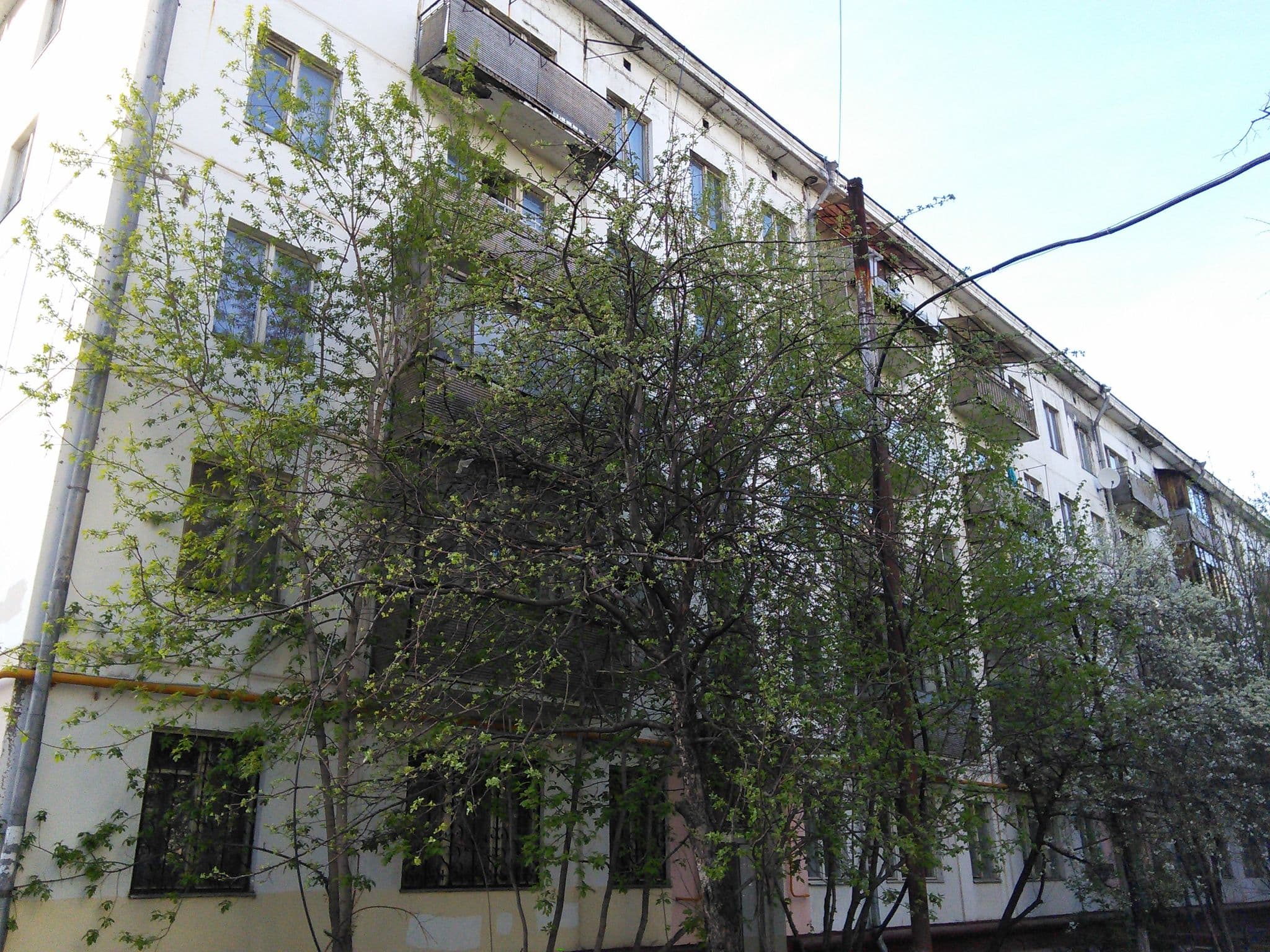 Street view near Мотель +, Novyye Cherëmushki — © trolleway (CC BY-SA · Mapillary)