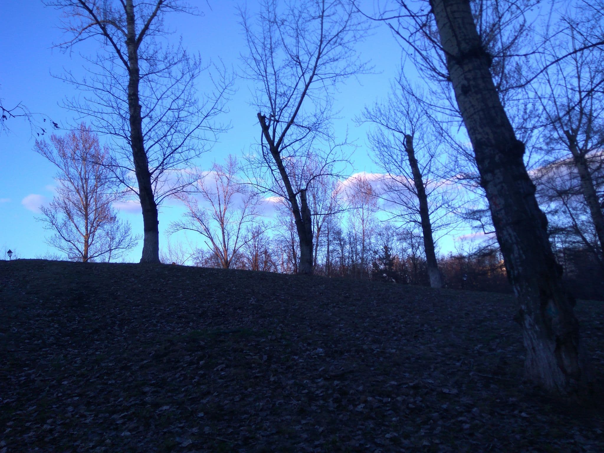 Street view near Спааать, Novyye Cherëmushki — © trolleway (CC BY-SA · Mapillary)