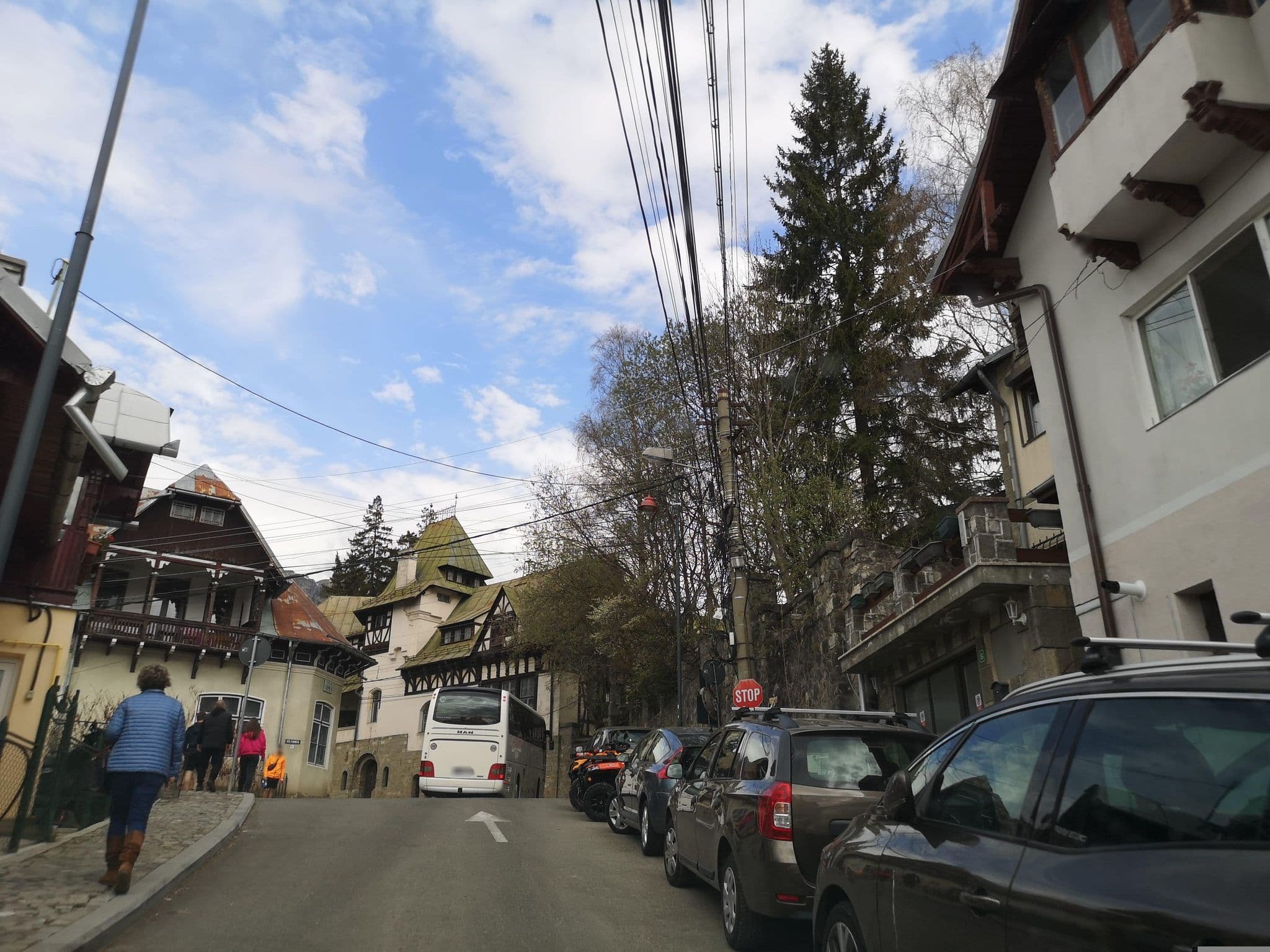 Street view near Vila Floare de Colț, Sinaia