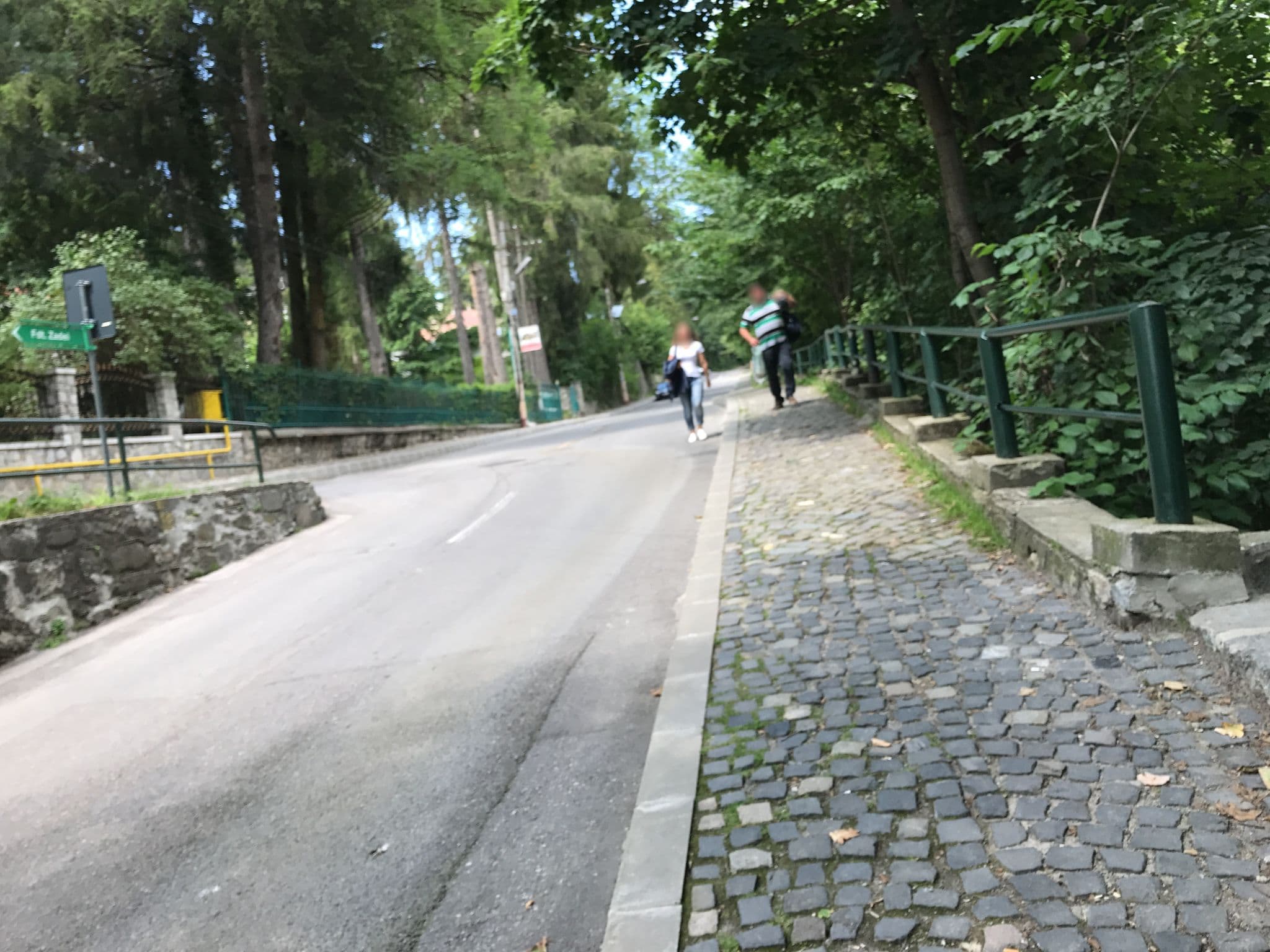 Street view near Vila Luminița, Sinaia