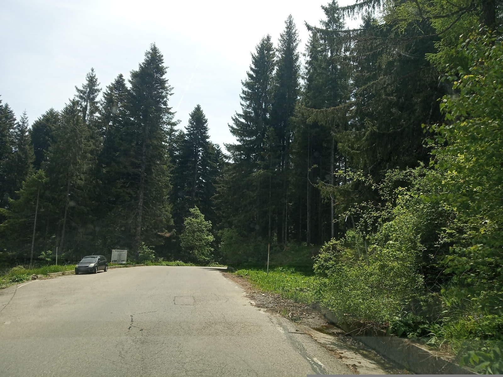 Street view near Cuibul Dorului, Sinaia