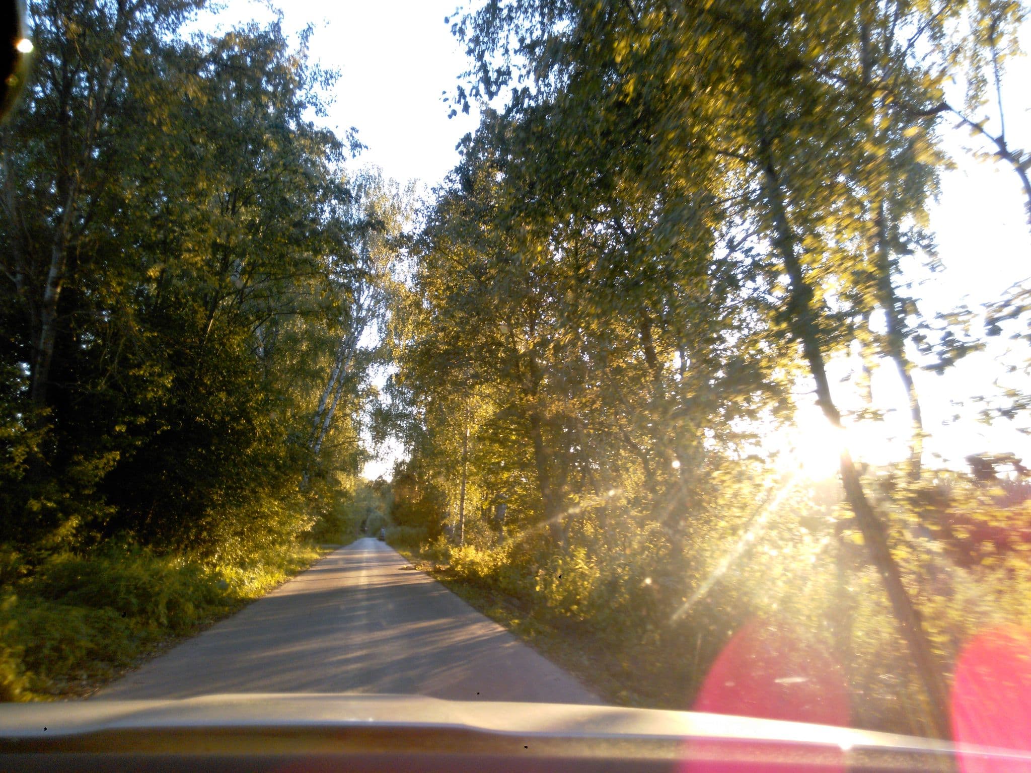 Street view near Поплавки Клуб, Krivtsovo — © wowik (CC BY-SA · Mapillary)