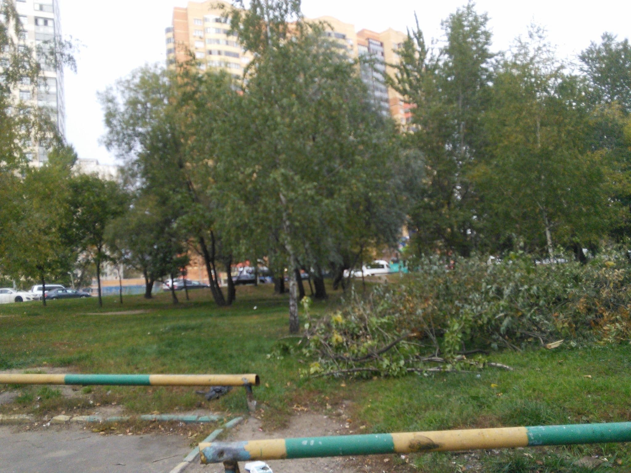 Street view near АЛЬЯНС - ОТЕЛЬ ЛЕВОБЕРЕЖНЫЙ, Levoberezhnyy — © trolleway (CC BY-SA · Mapillary)