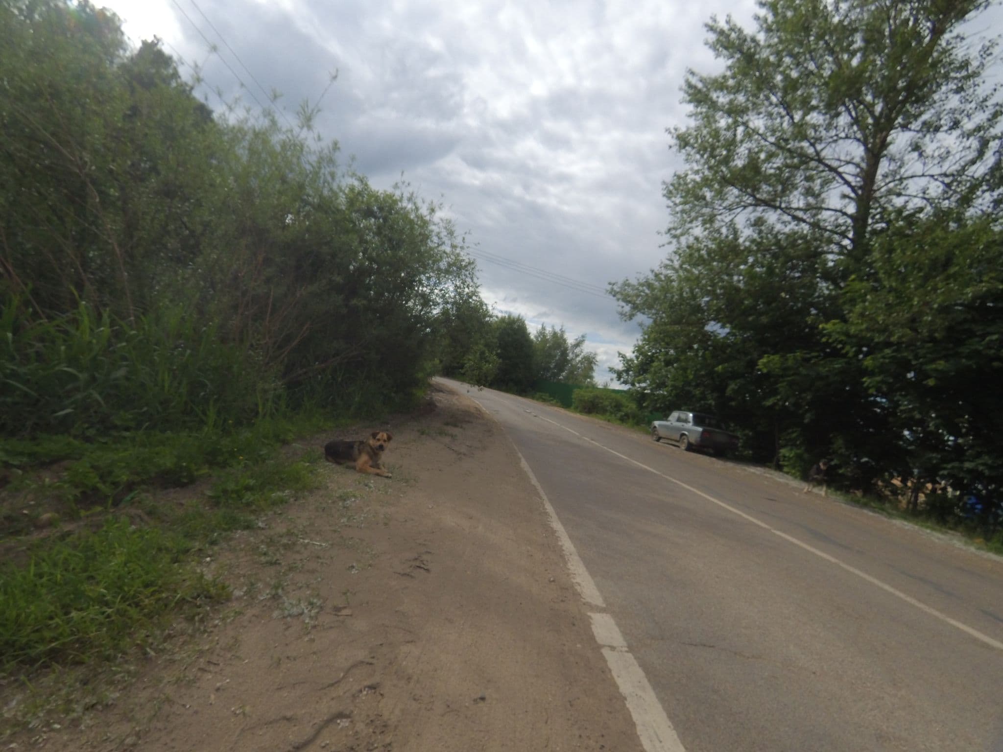 Street view near Икша Кантри Клаб, Marfino — © argz (CC BY-SA · Mapillary)