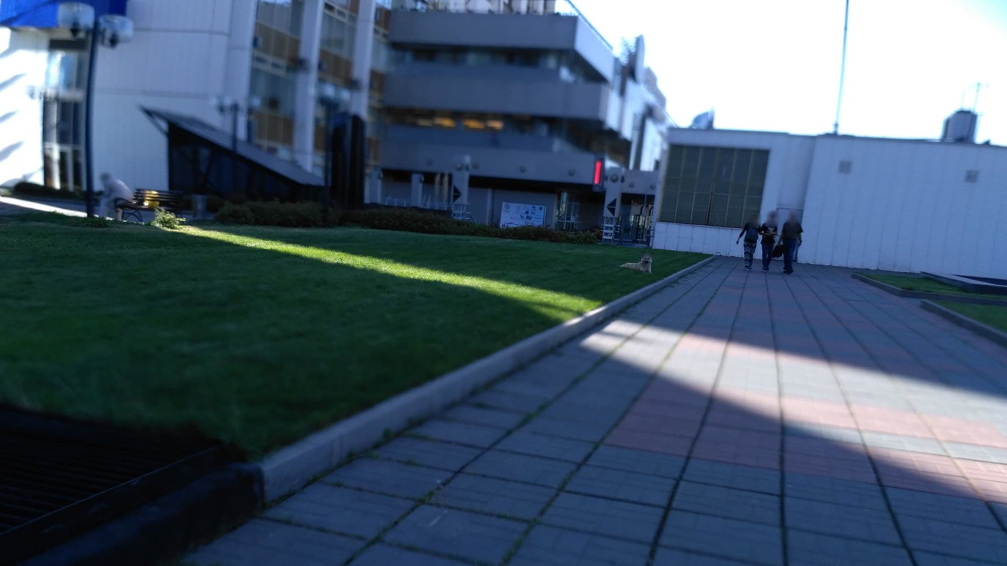 Street view near Сити Турист Офис, Izmaylovo — © cyclespacemsk (CC BY-SA · Mapillary)