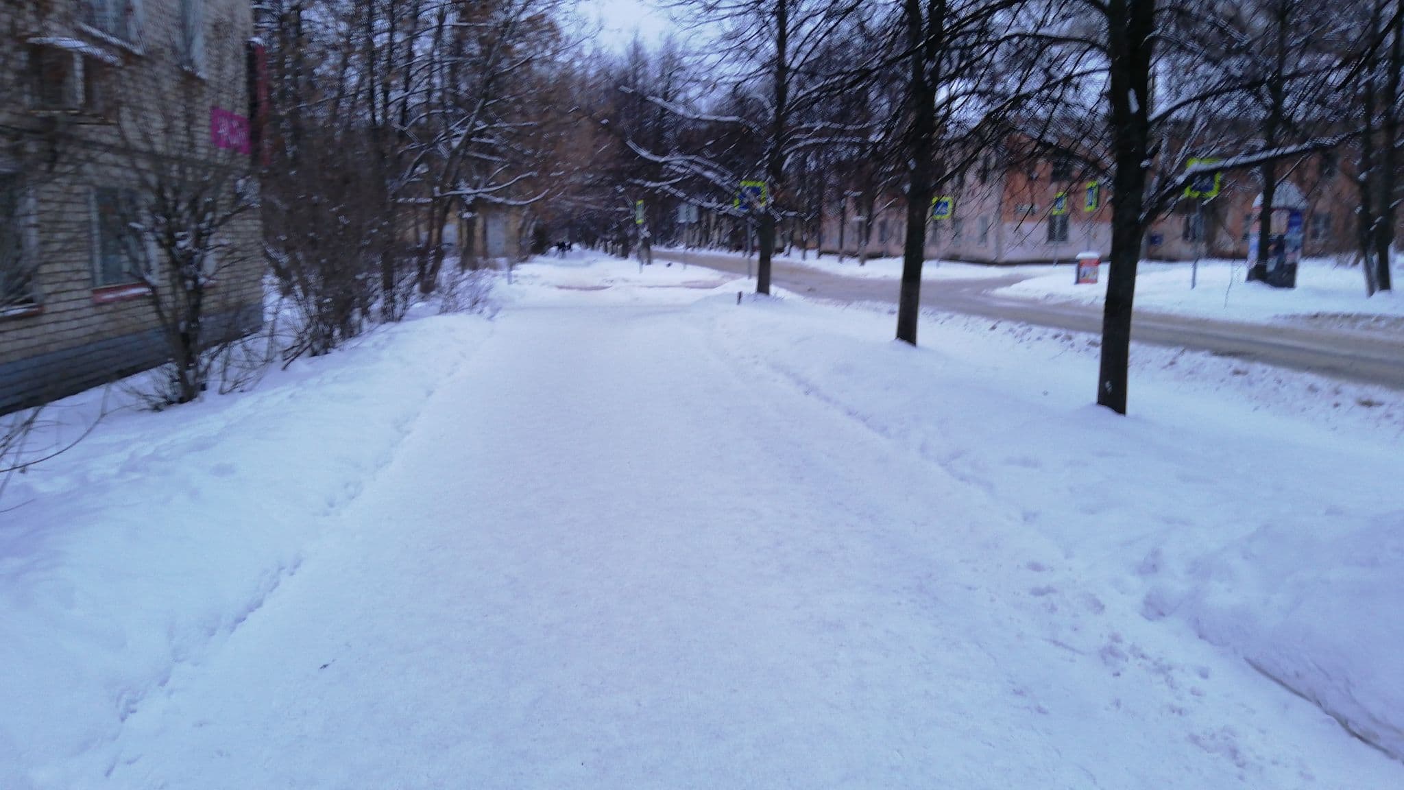 Street view near Волжская, Yaroslavl — © vikdd (CC BY-SA · Mapillary)
