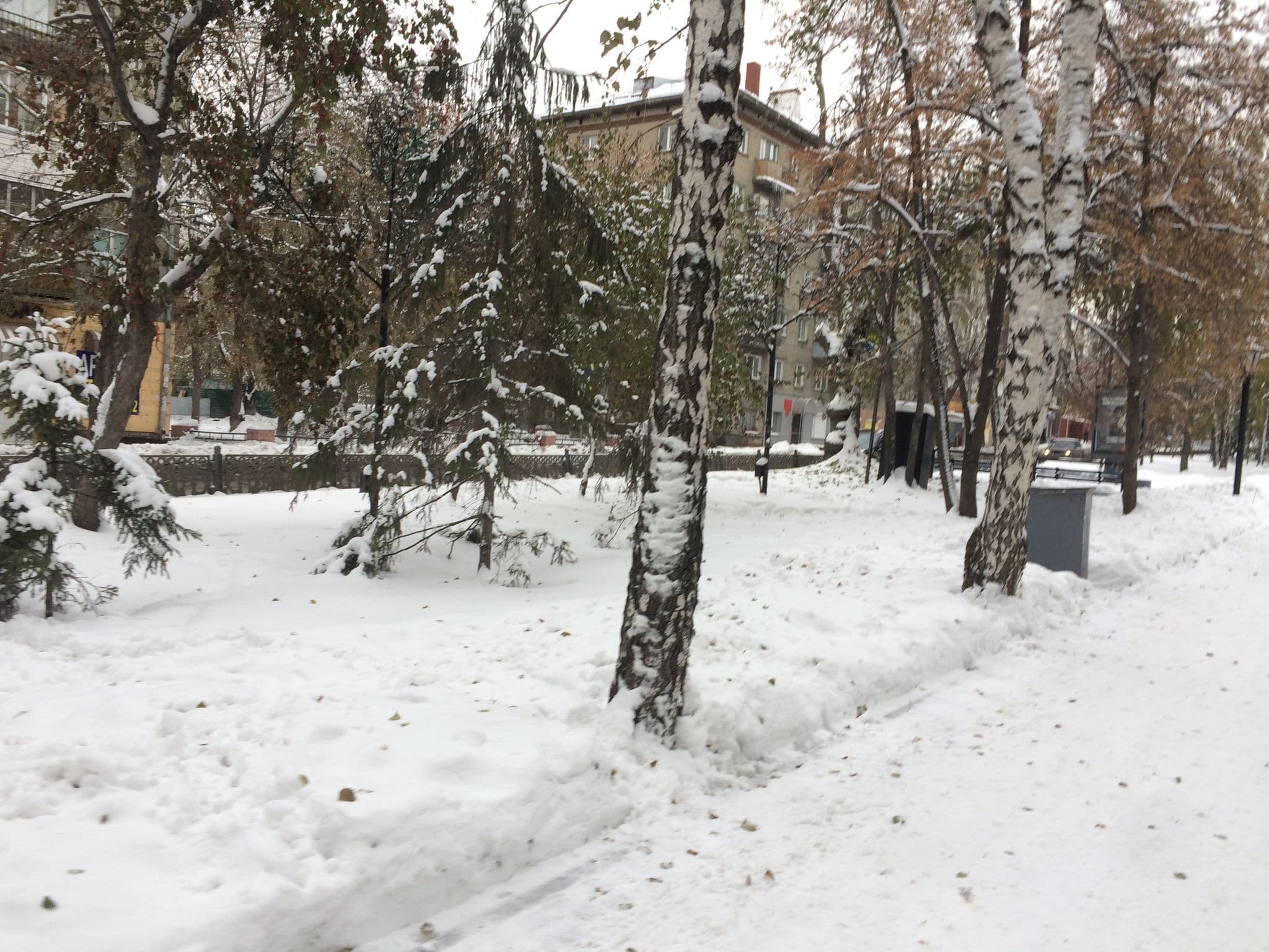 Street view near Voshodhostel, Novosibirsk — © vylzzyf (CC BY-SA · Mapillary)