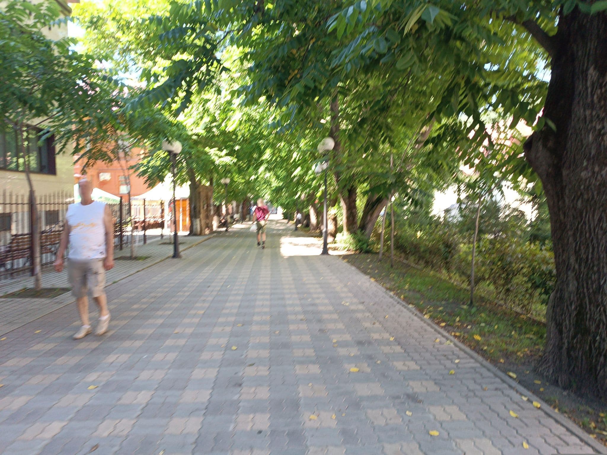 Street view near гостиный двор, Belokurikha — © map228 (CC BY-SA · Mapillary)