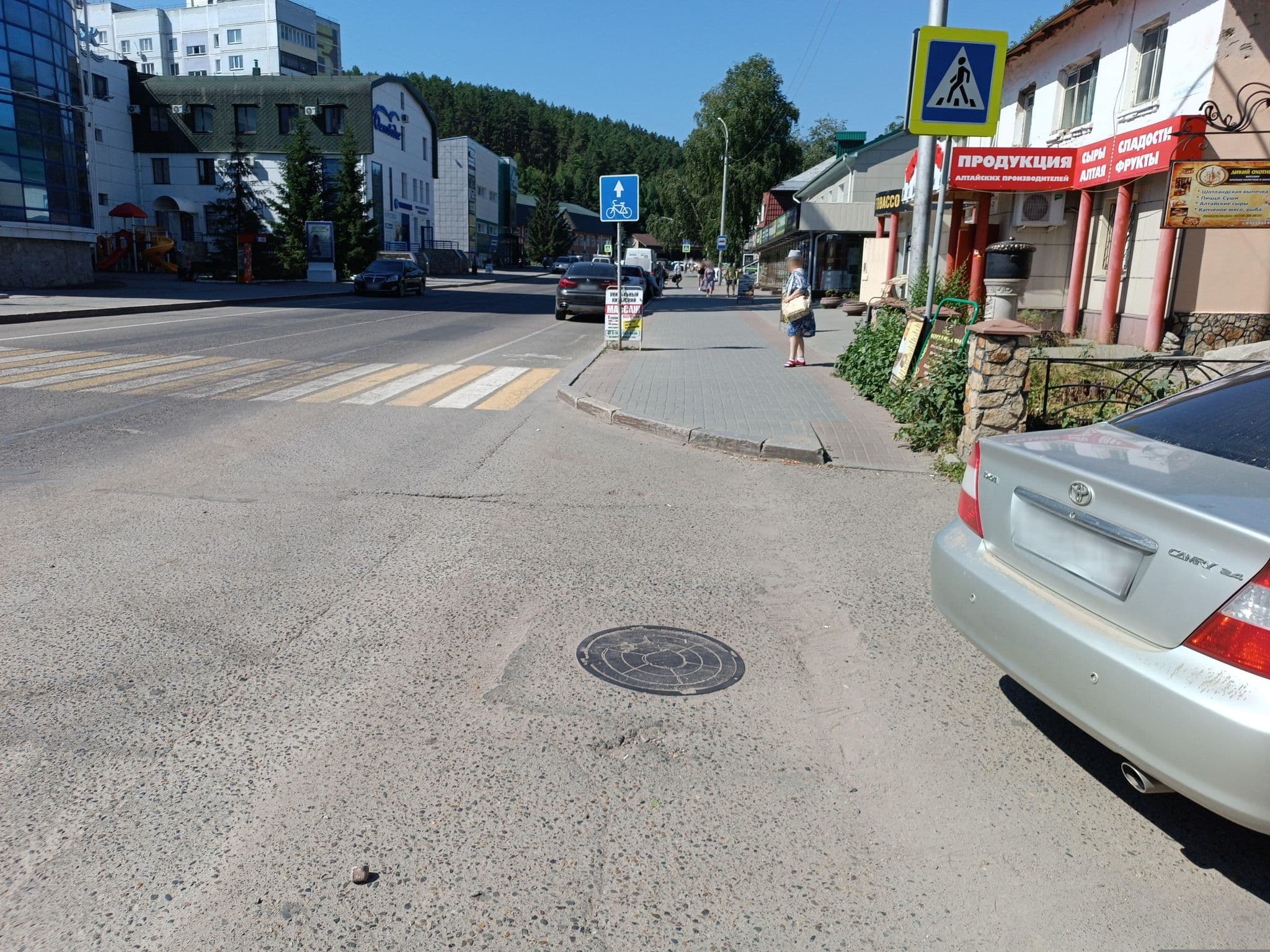 Street view near Беловодье, Belokurikha — © map228 (CC BY-SA · Mapillary)