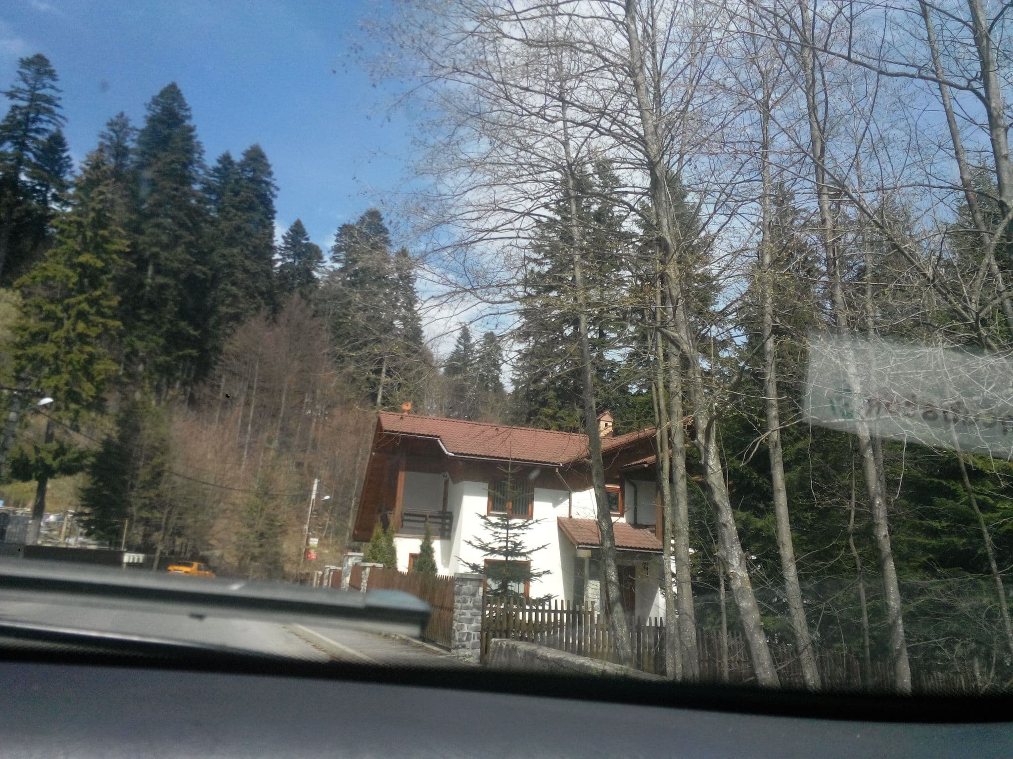 Street view near Vila Codrului, Sinaia