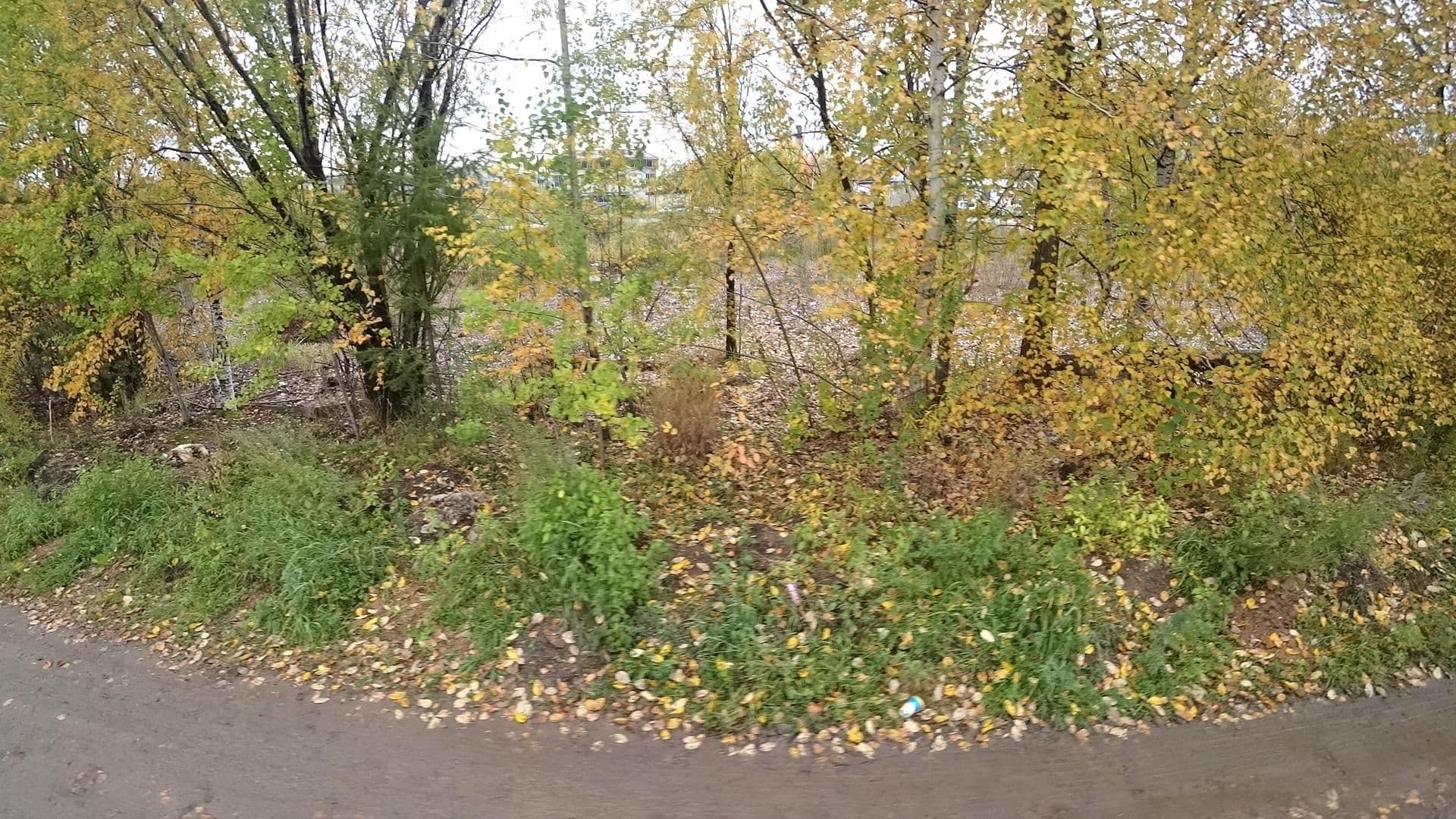 Street view near Гостиница "Рижская", Tynda — © yax1p (CC BY-SA · Mapillary)