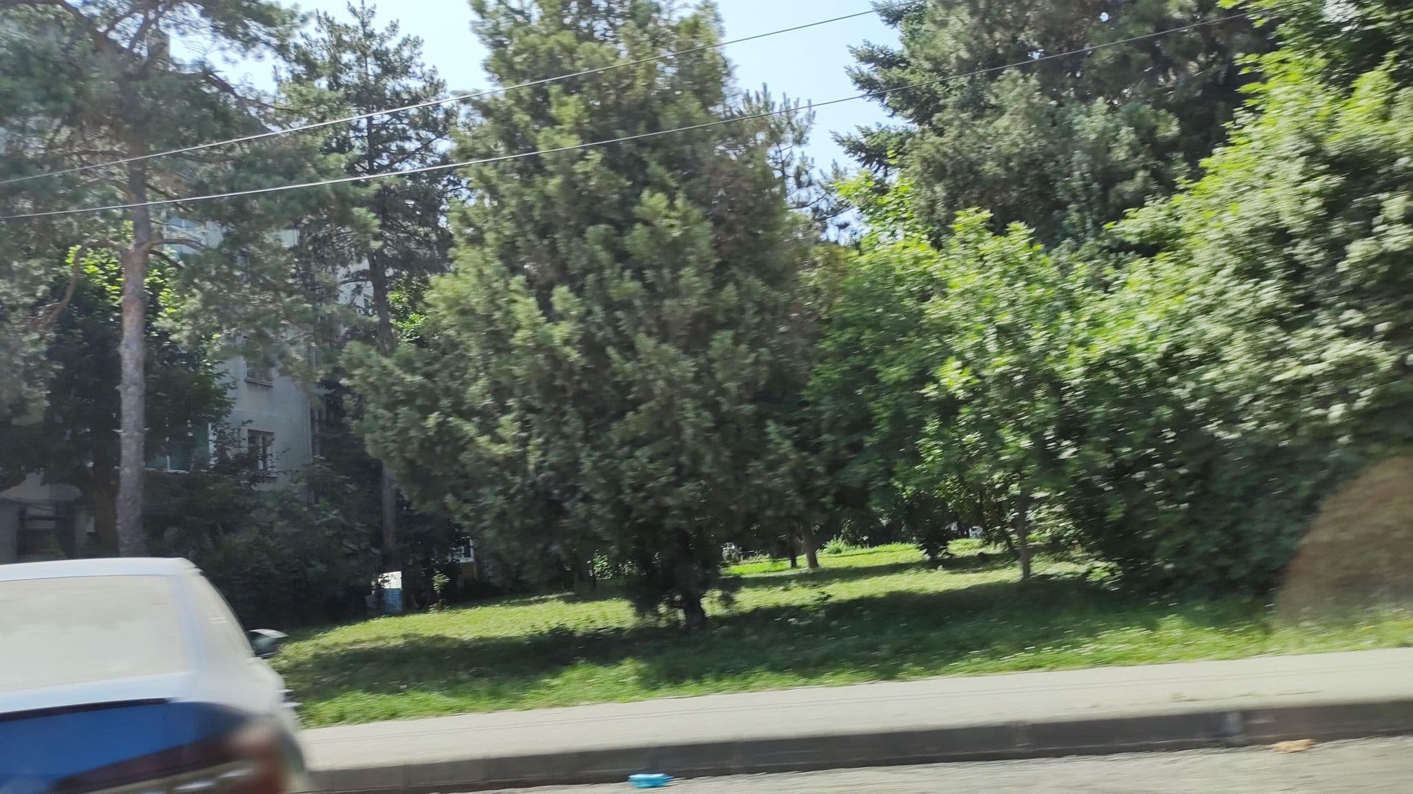 Street view near Apolodor, Orşova — © rsandu (CC BY-SA · Mapillary)