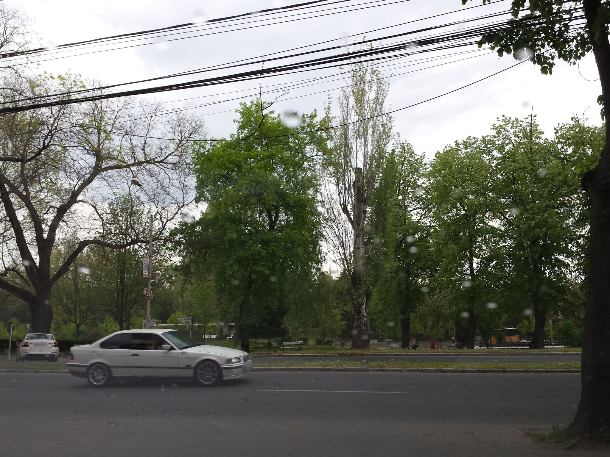 Street view near In The Sufragerie, Timişoara — © rudolfmayer (CC BY-SA · Mapillary)