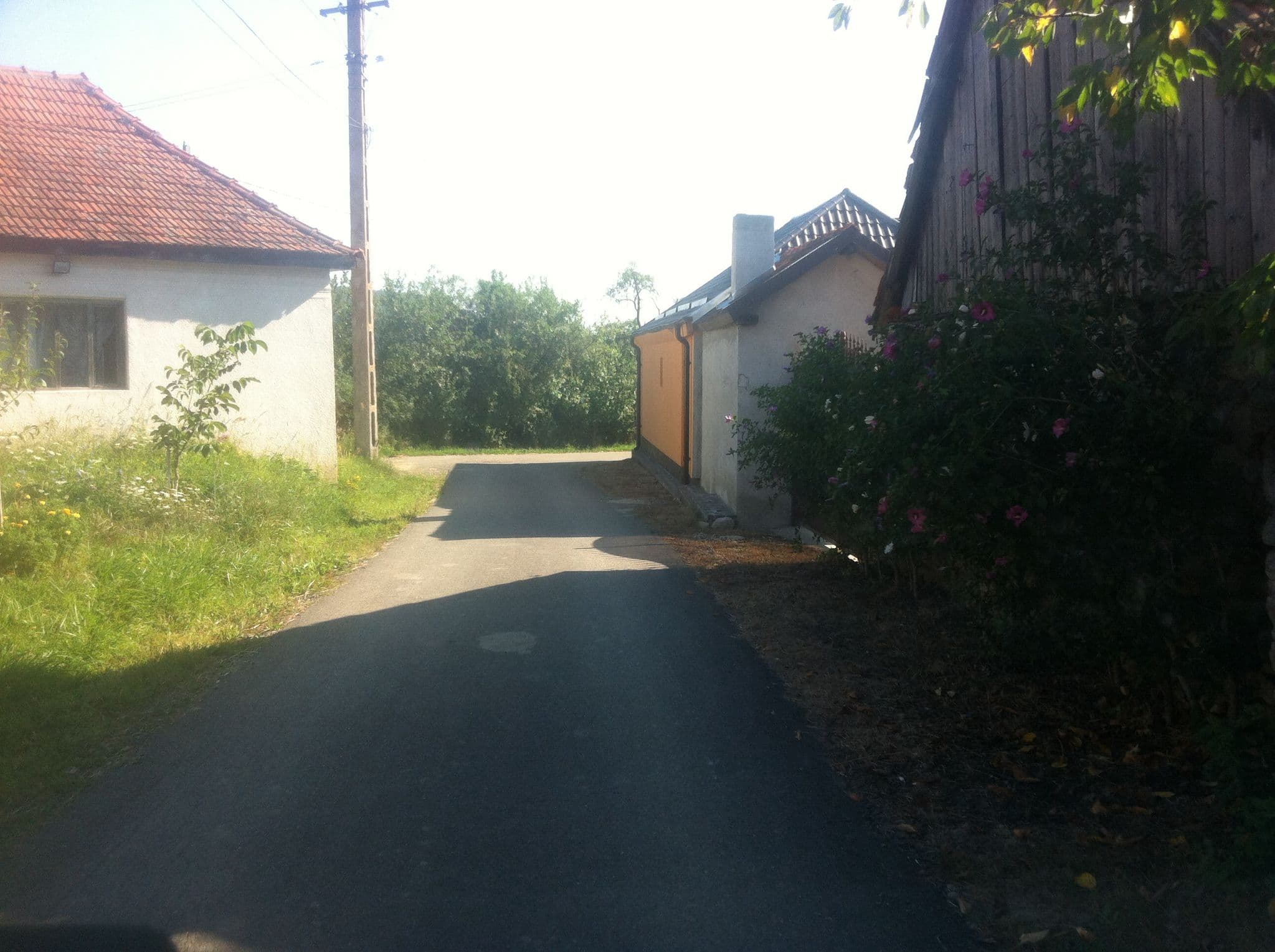 Street view near Zalmoxe, Sarmizegetusa — © raymond (CC BY-SA · Mapillary)