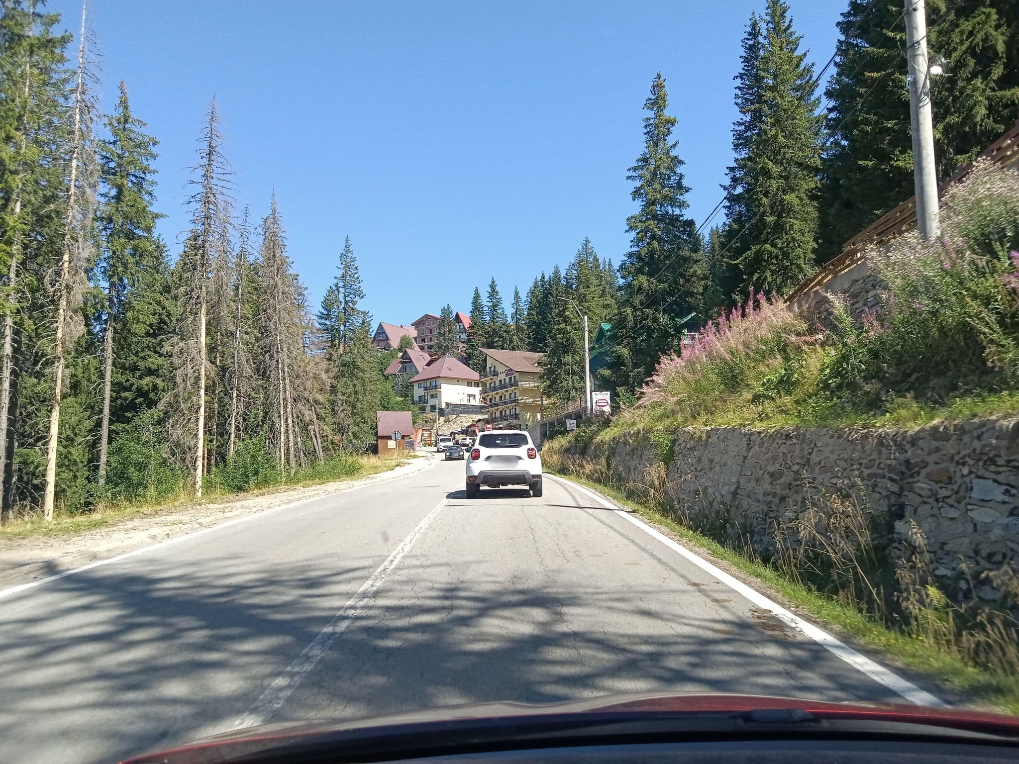 Street view near Cabana Boierului, Polovragi — © nglf (CC BY-SA · Mapillary)