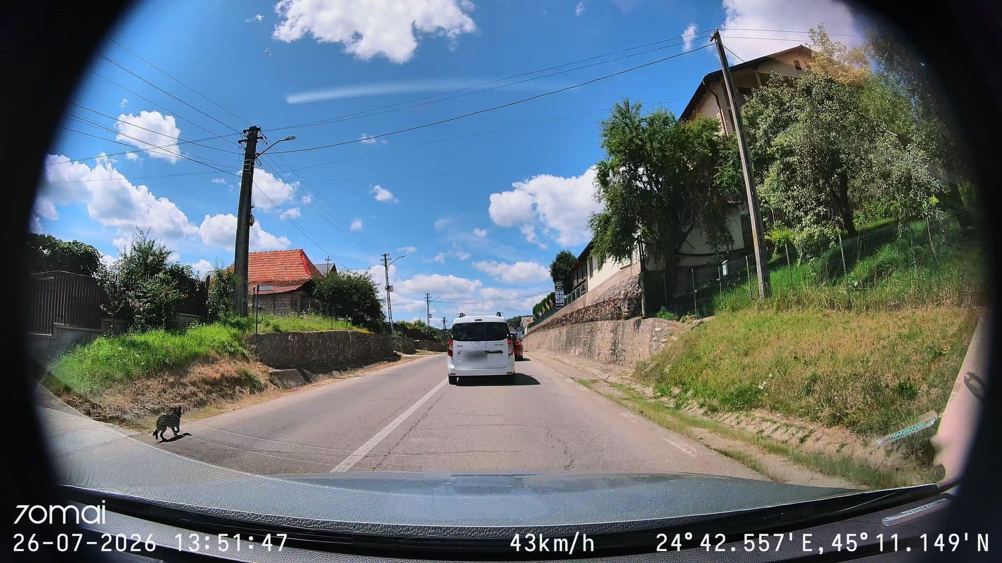Street view near Pensiunea Ester, Valea Iaşului — © doriel (CC BY-SA · Mapillary)