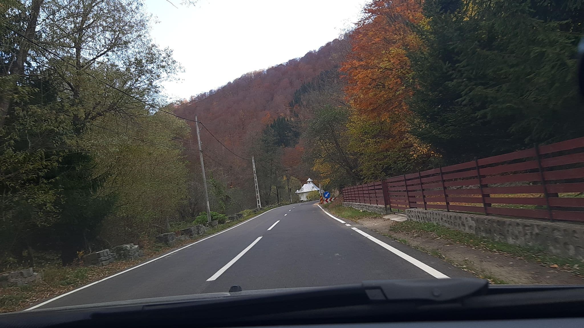 Street view near Pensiunea Cris, Malaia — © viorel (CC BY-SA · Mapillary)