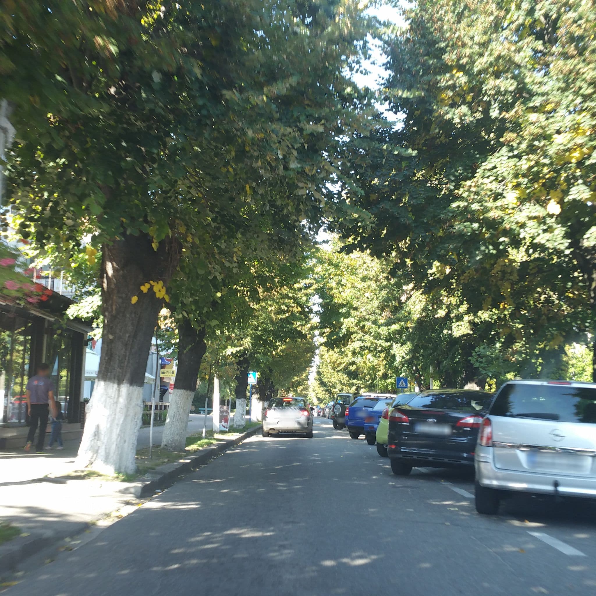 Street view near Casa Romaneasca, Curtea de Argeş — © andreistar (CC BY-SA · Mapillary)