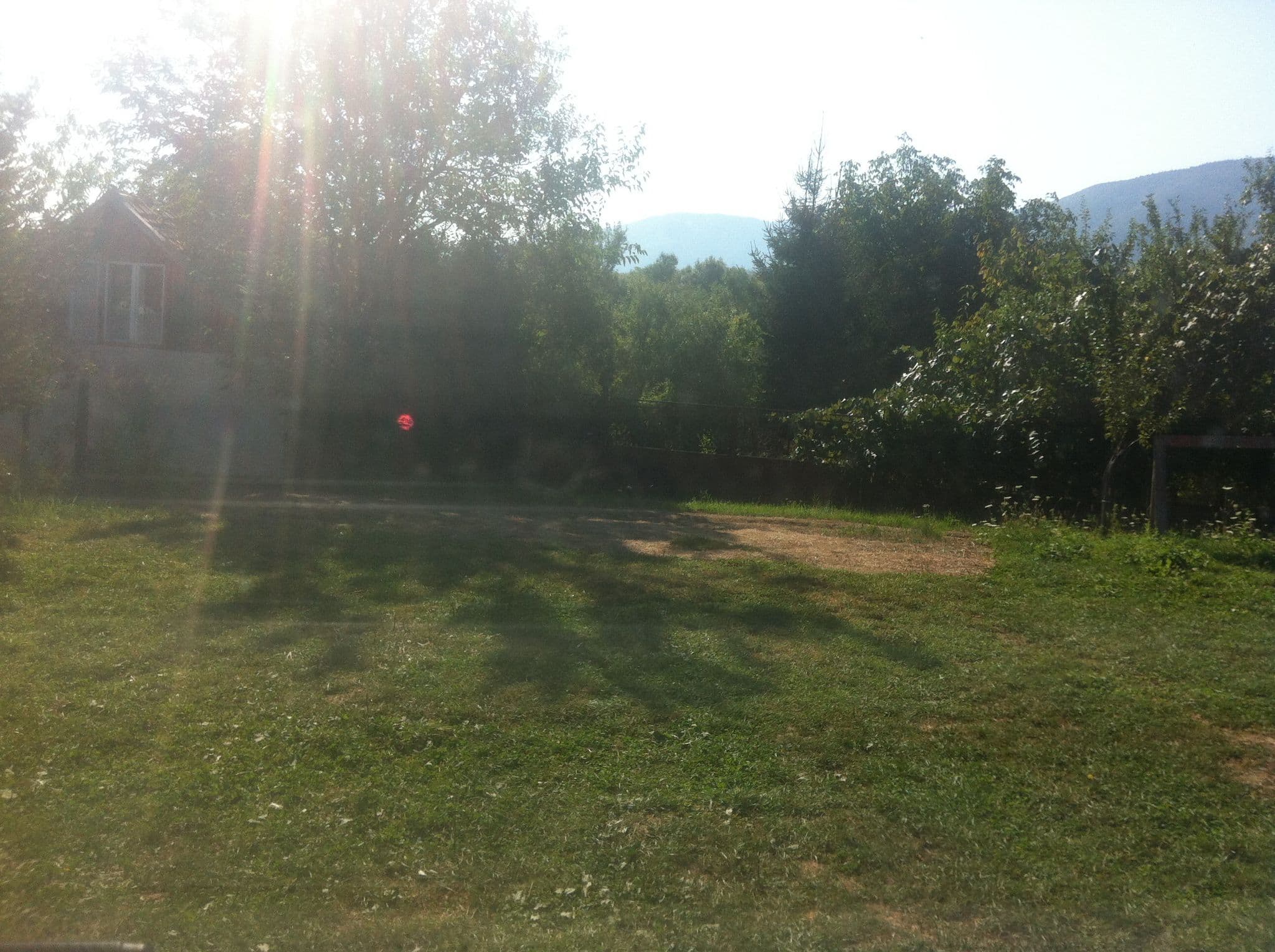 Street view near Camping Zamolxe, Sarmizegetusa — © raymond (CC BY-SA · Mapillary)