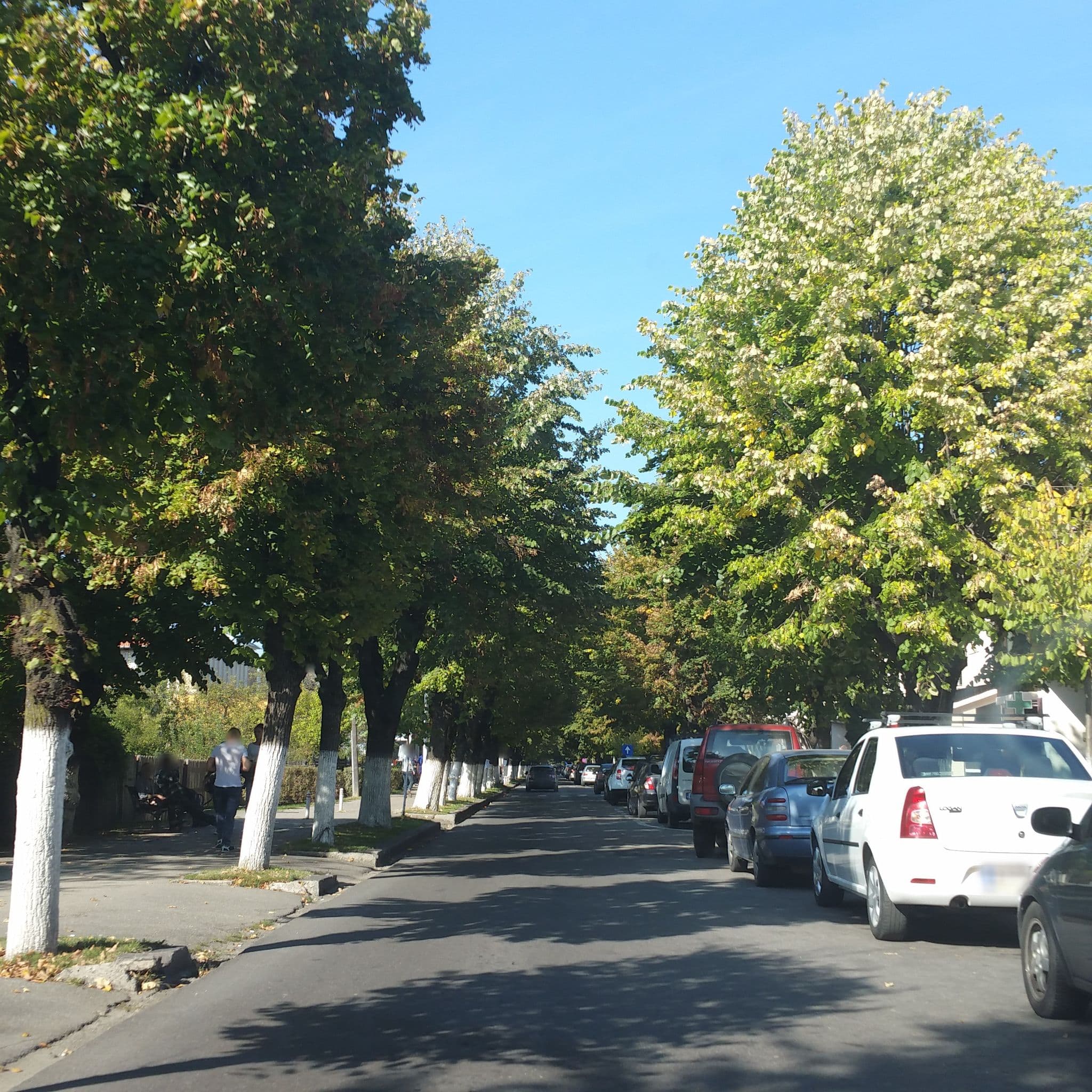 Street view near Pensiune Restaurant Montana, Curtea de Argeş — © andreistar (CC BY-SA · Mapillary)