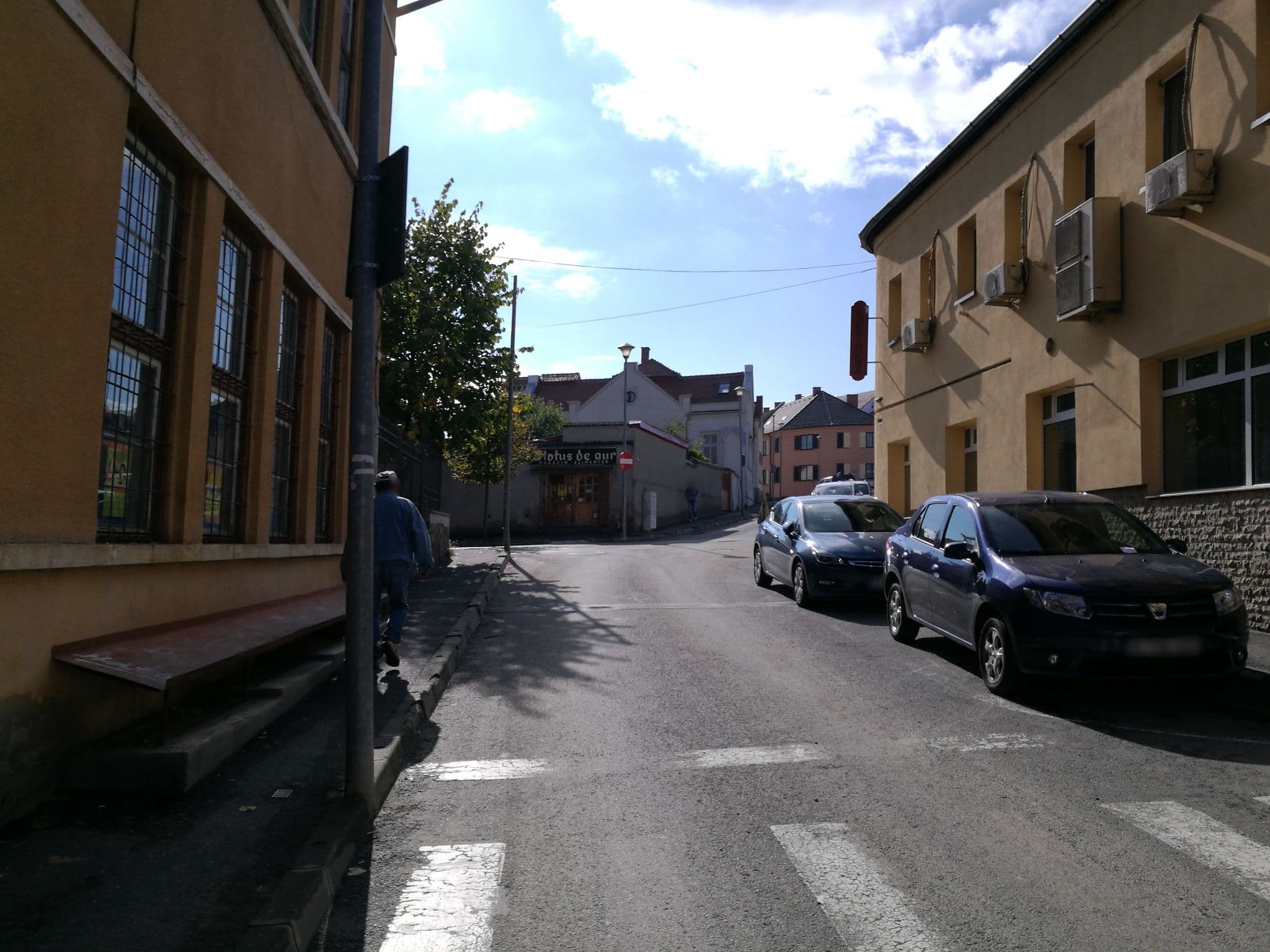 Street view near Pensiunea Ileana, Sibiu — © rsandu (CC BY-SA · Mapillary)