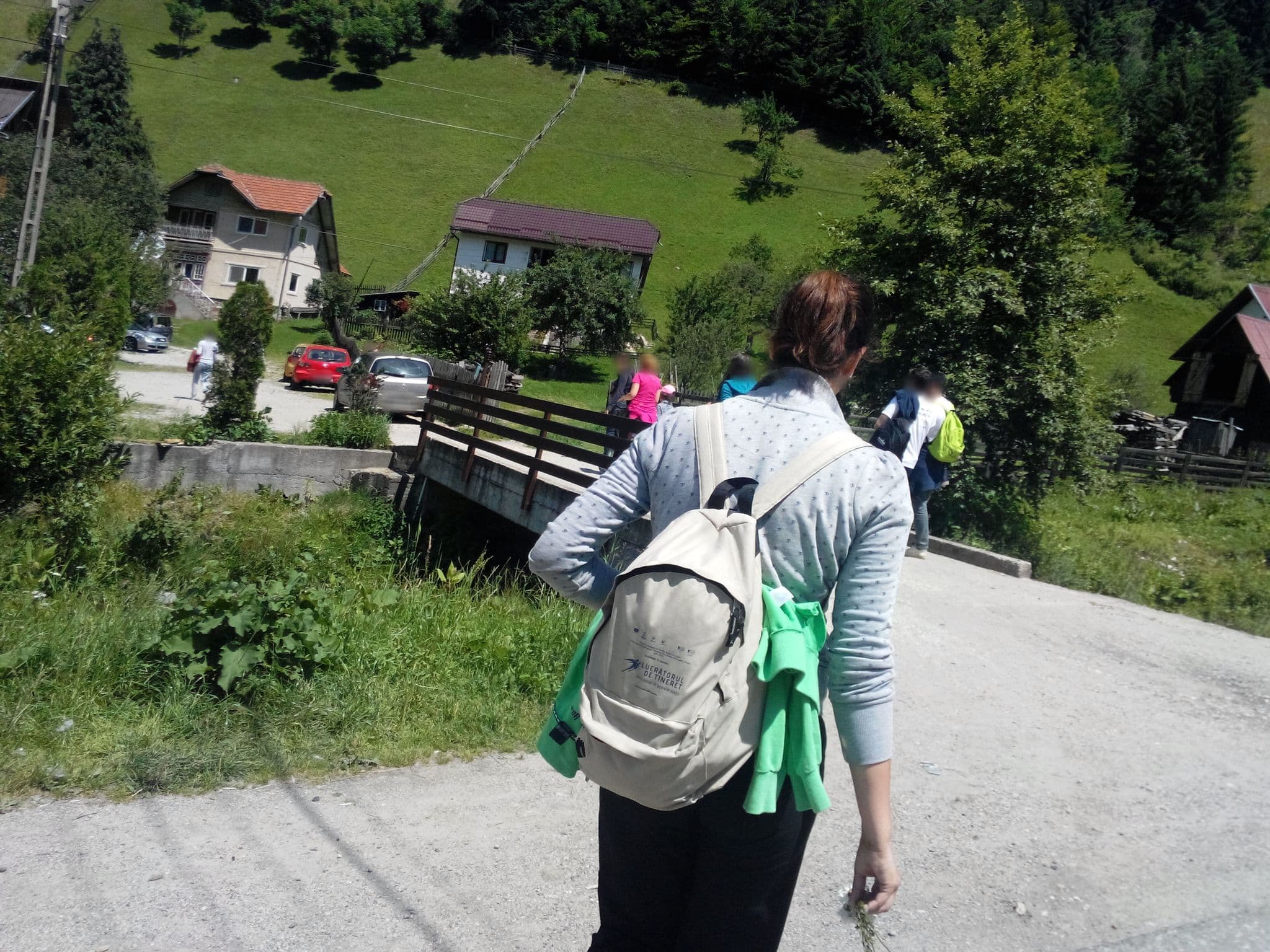 Street view near Bliss, Moeciu de Jos — © baditaflorin (CC BY-SA · Mapillary)