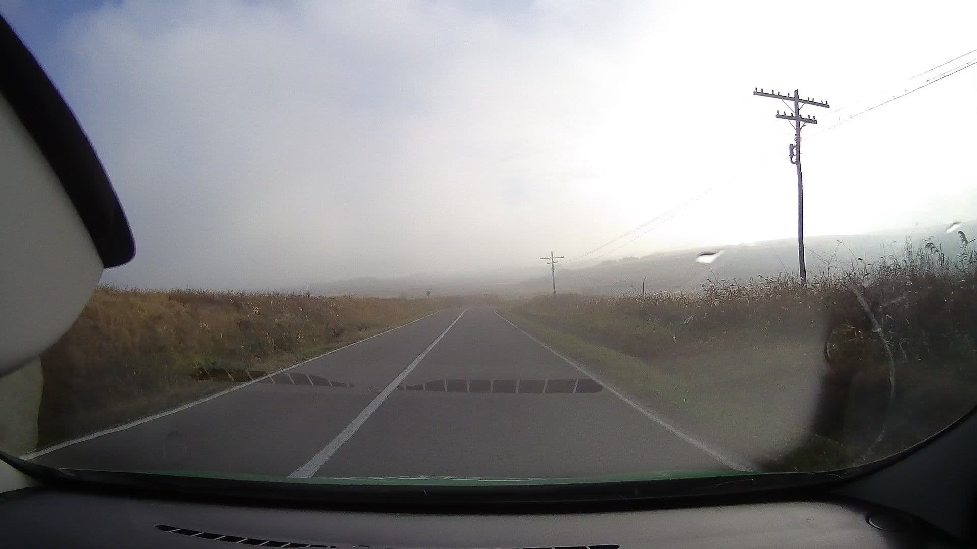 Street view near Hotel Weis, Nufăru — © tavi (CC BY-SA · Mapillary)
