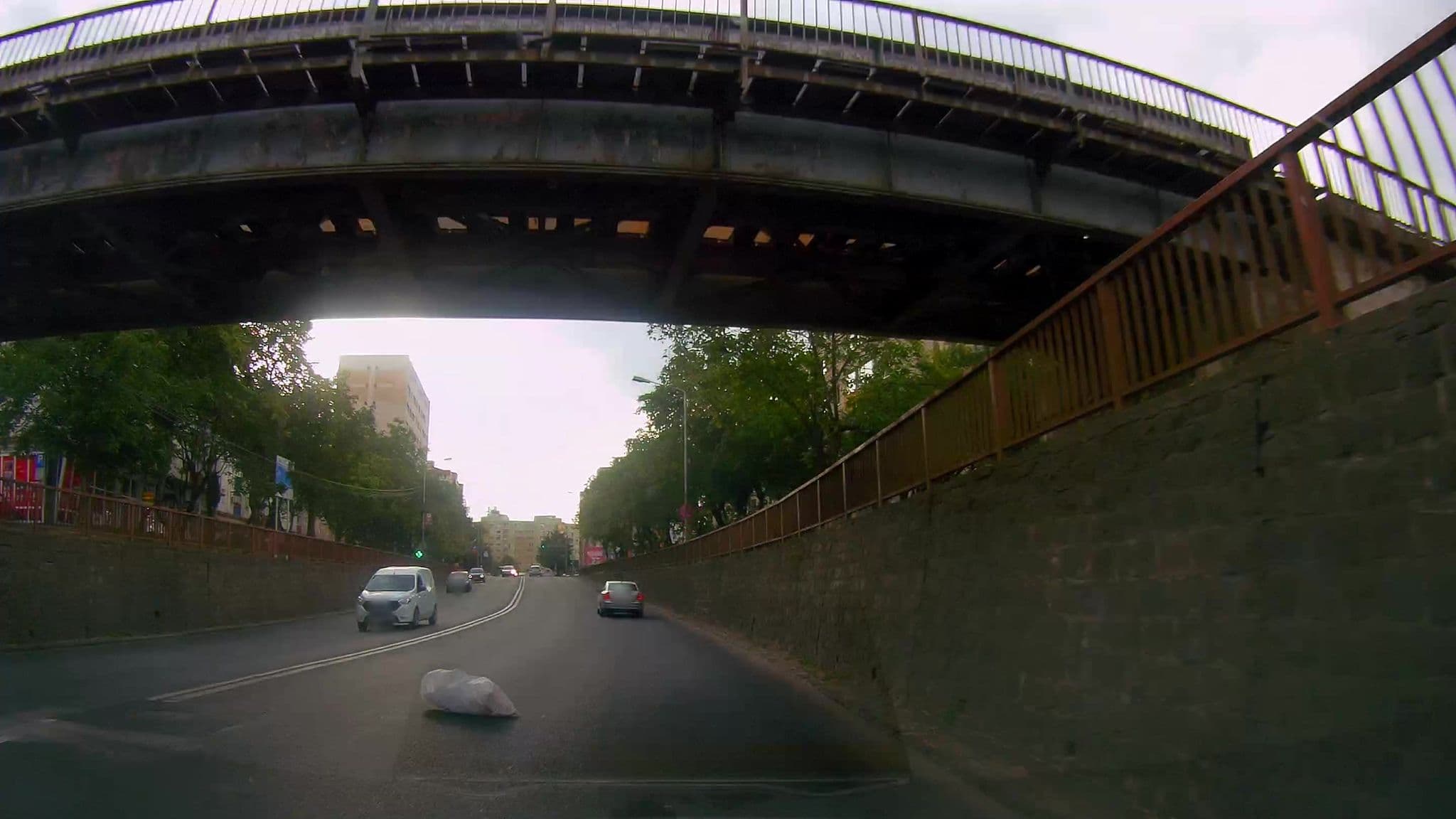 Street view near Vila Maria, Satu Mare — © m_solodzhuk (CC BY-SA · Mapillary)