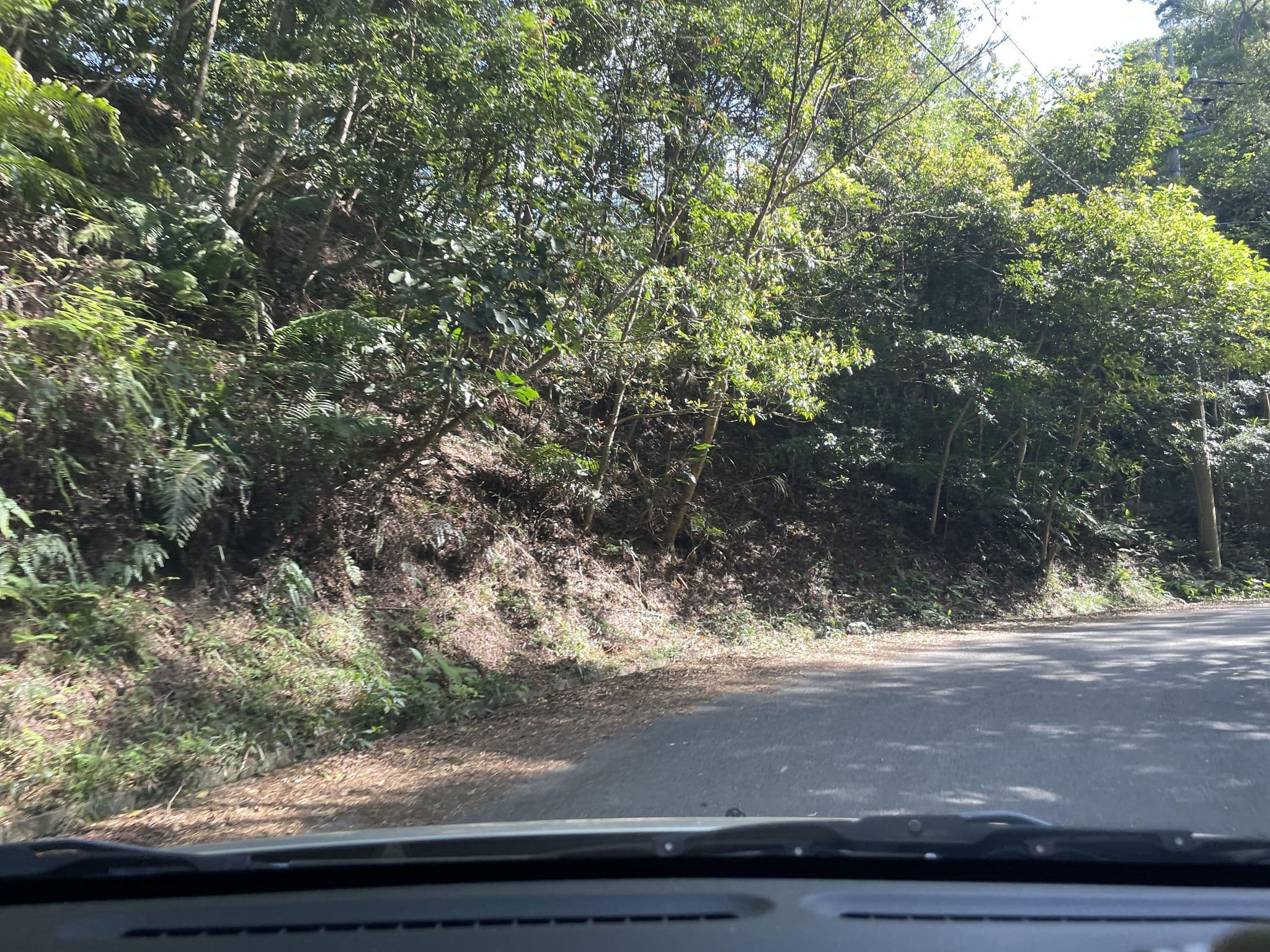 Street view near エコステイ国頭, Kunigami — © npcbuchou (CC BY-SA · Mapillary)