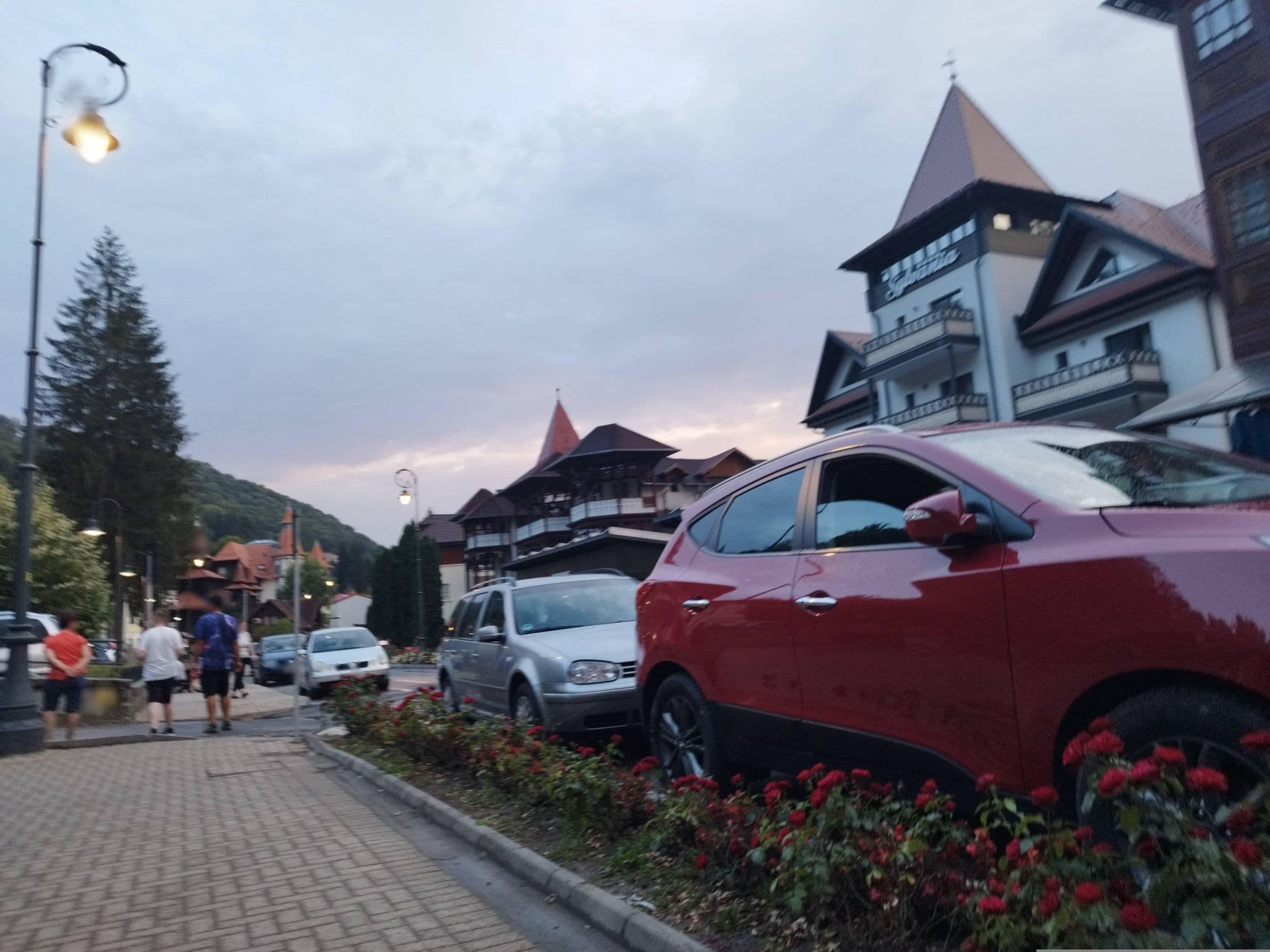 Street view near Sylvania, Sovata — © grozsa11 (CC BY-SA · Mapillary)