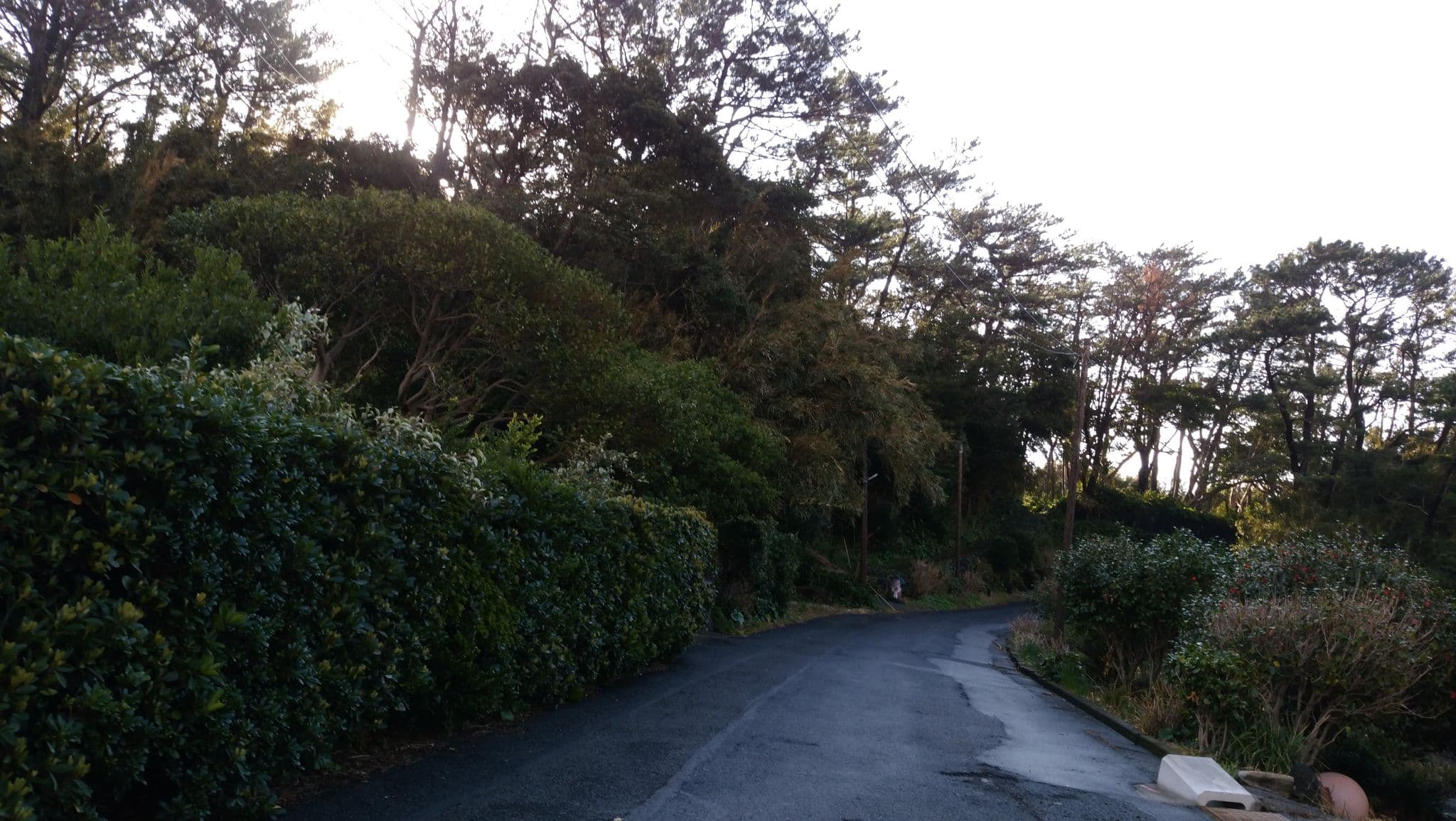 Street view near 島宿ほんだ, Miyanoura — © taisuke11 (CC BY-SA · Mapillary)