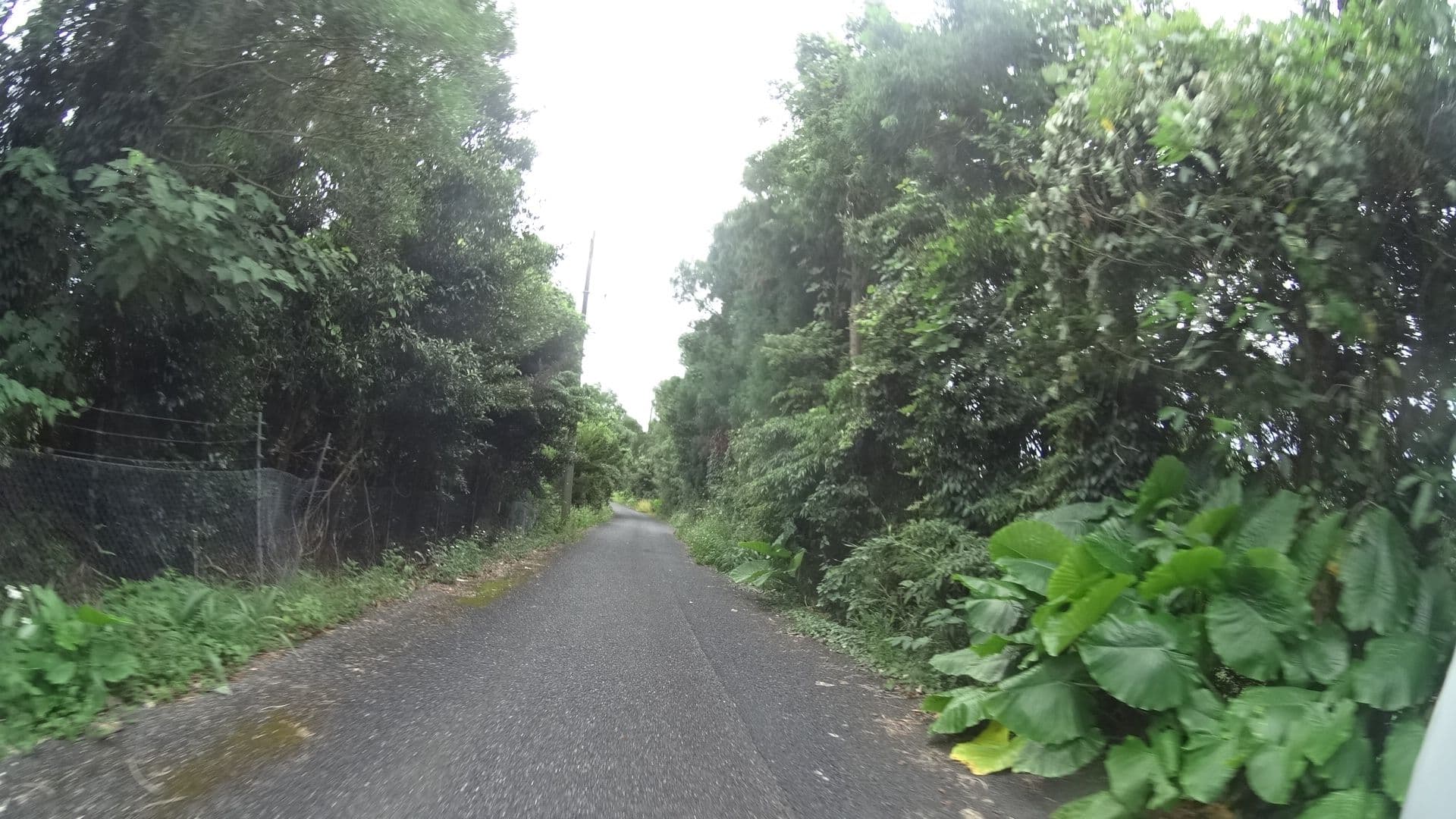 Street view near HANAMANA, Koshima — © yasunari (CC BY-SA · Mapillary)