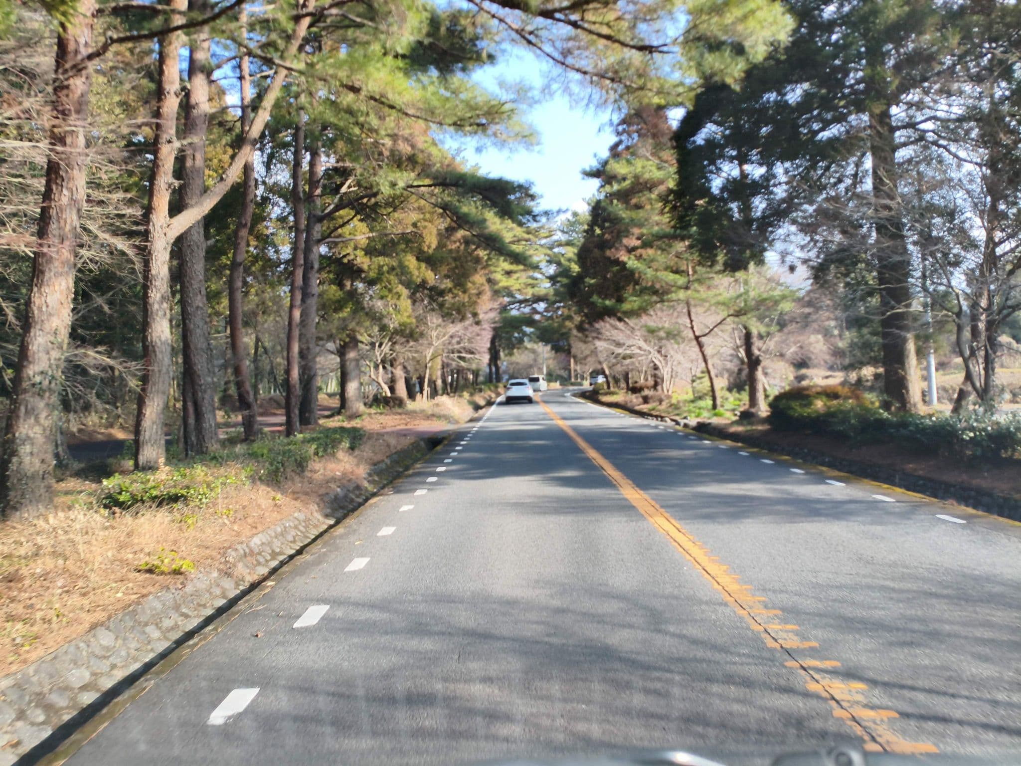 Street view near 優風, Kirishima — © parond (CC BY-SA · Mapillary)