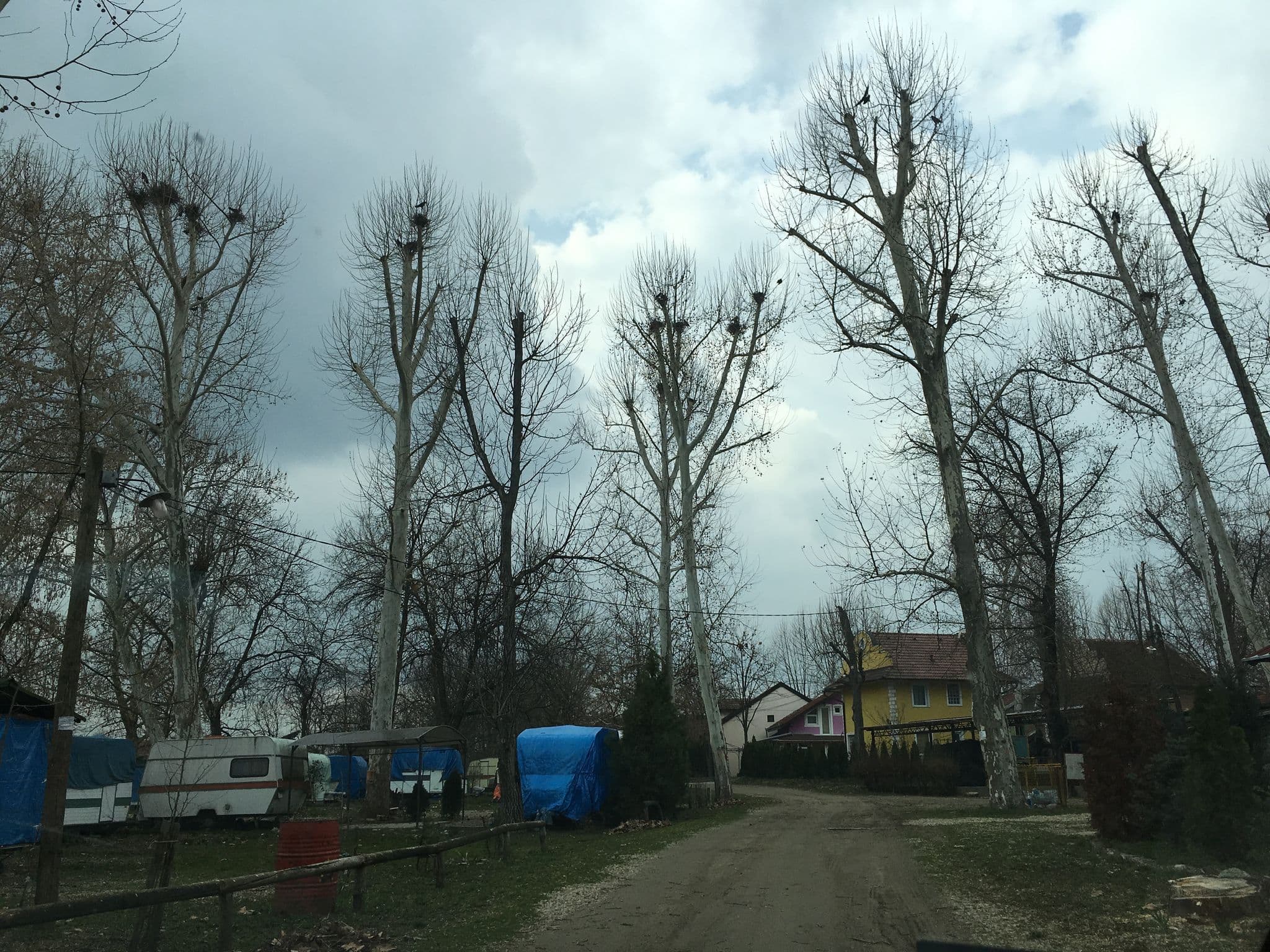 Street view near Kamp Bela Crkva, Bela Crkva — © batavs (CC BY-SA · Mapillary)