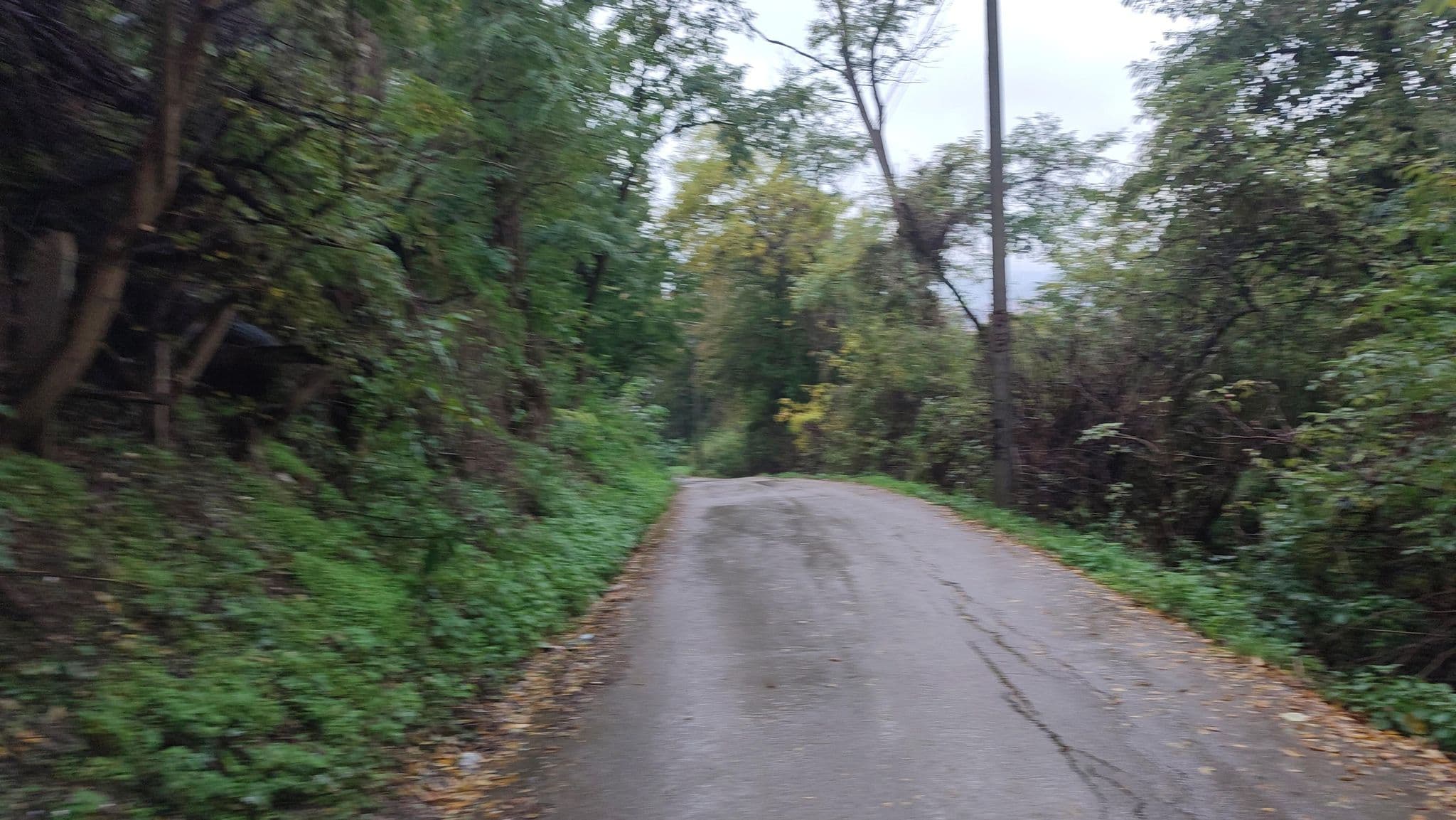 Street view near Kućica u šumi, Užice — © pedja (CC BY-SA · Mapillary)