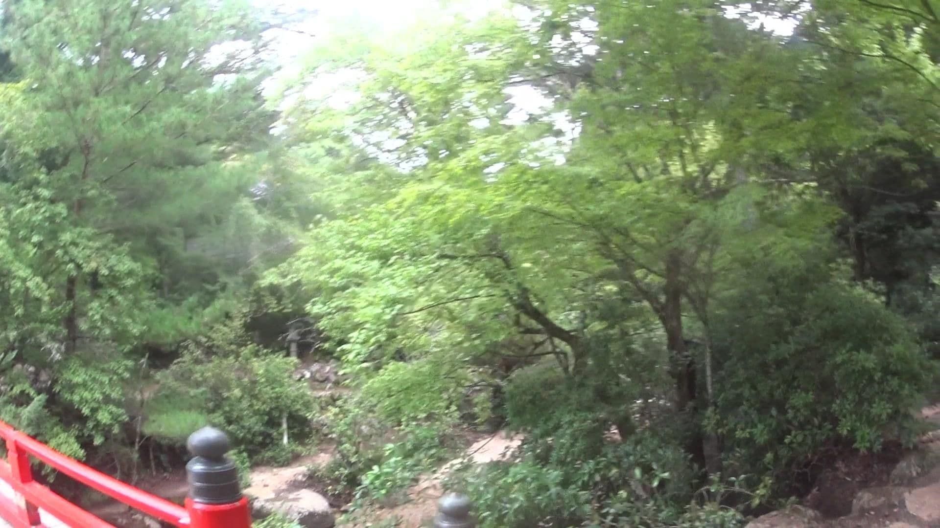Street view near 岩惣, Miyajima — © yasunari (CC BY-SA · Mapillary)
