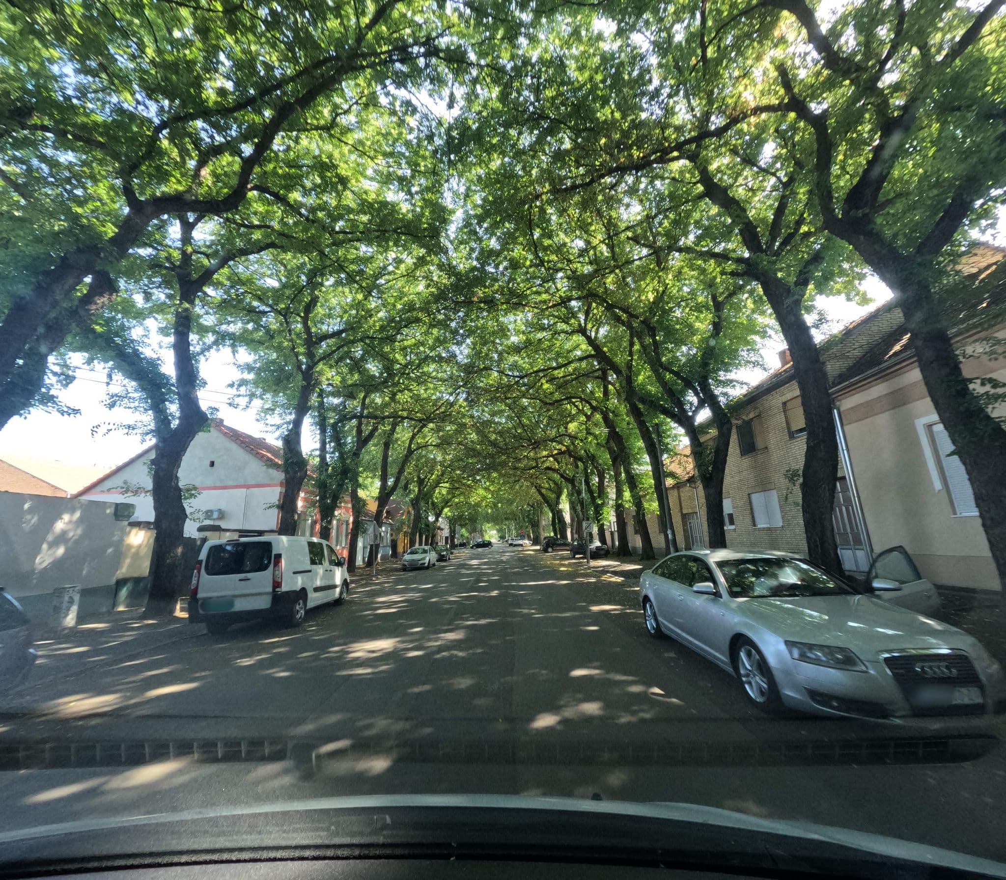 Street view near Čudesni drvored, Kikinda — © smajser1 (CC BY-SA · Mapillary)