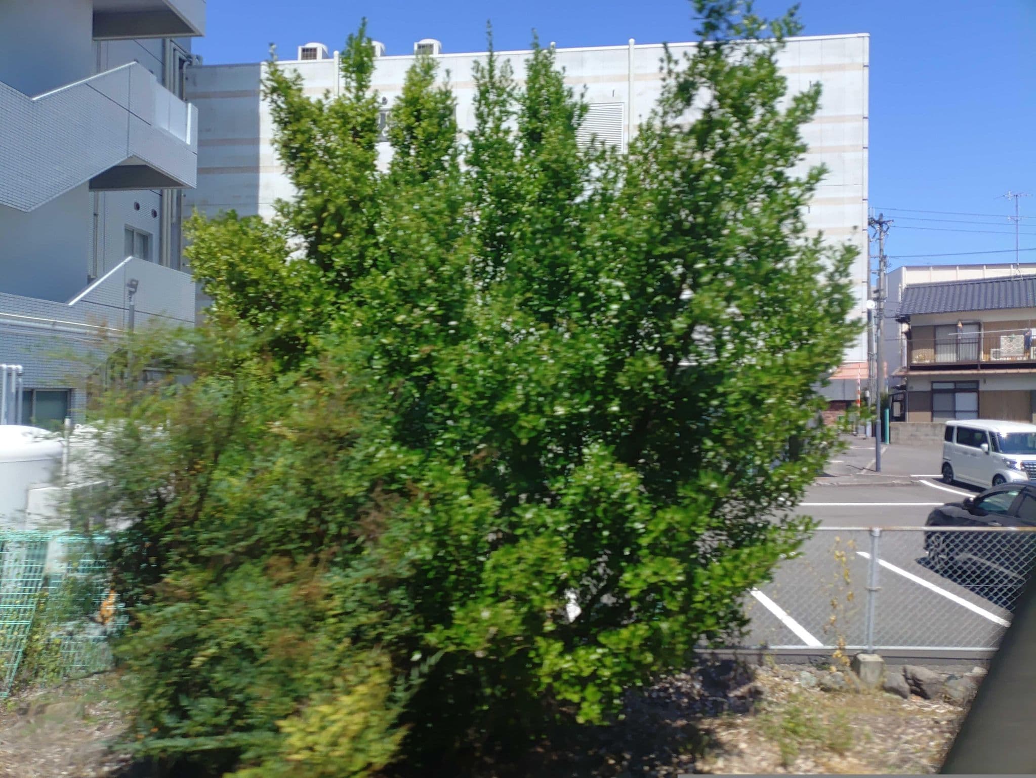 Street view near エクストールイン西条駅前, Saijō — © kojiroucircle (CC BY-SA · Mapillary)
