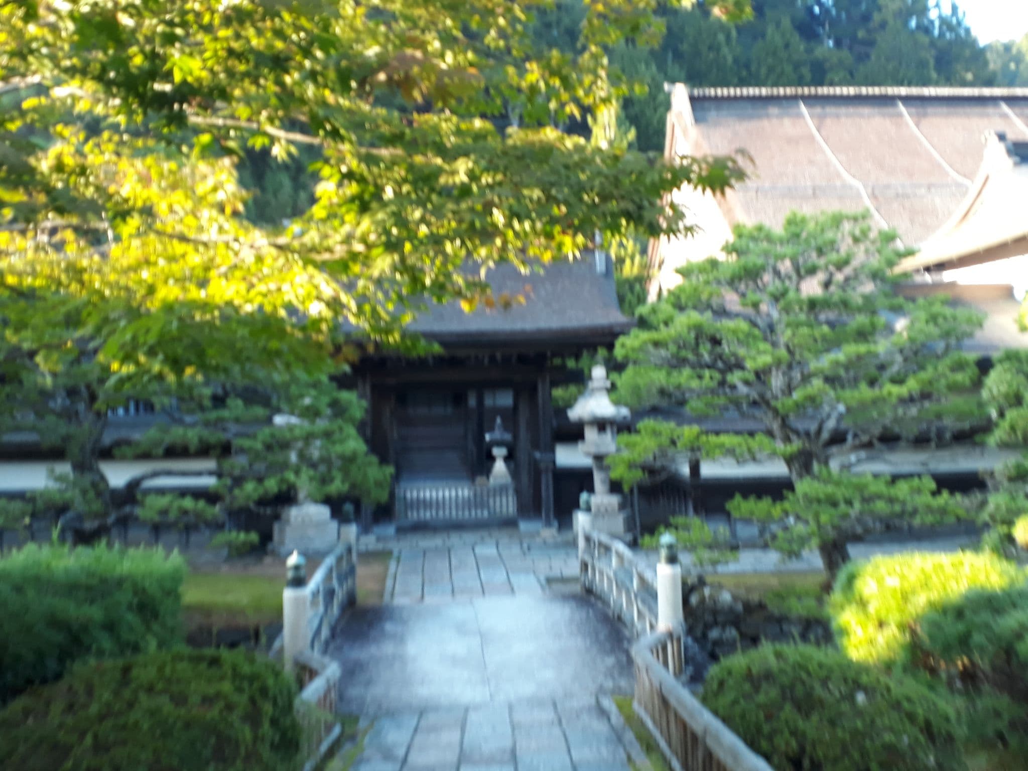 Street view near 赤松院, Kōya — © mapillarymatt (CC BY-SA · Mapillary)