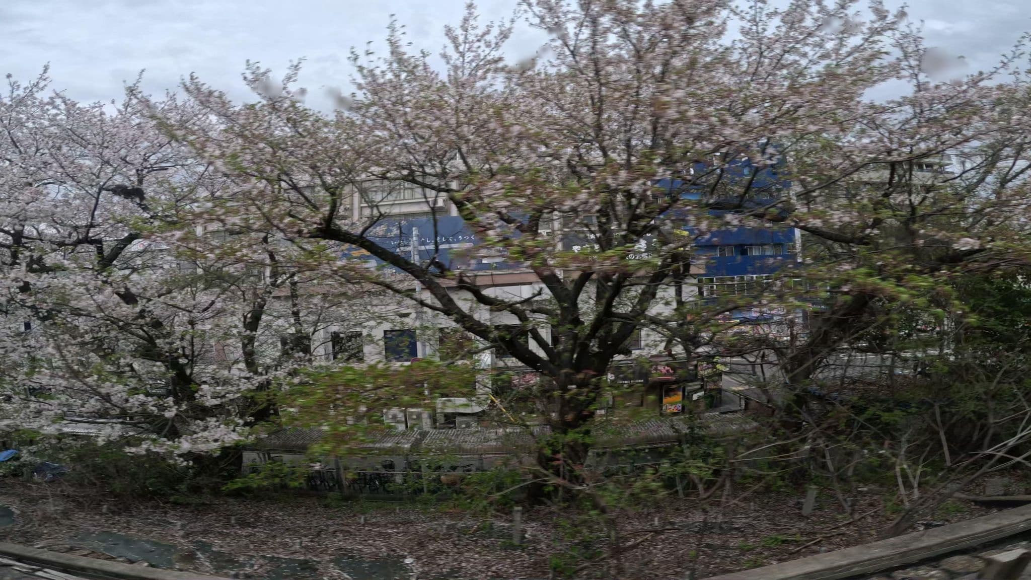 Street view near まっさお旅館の玄関, Amagasaki — © okadatsuneo (CC BY-SA · Mapillary)