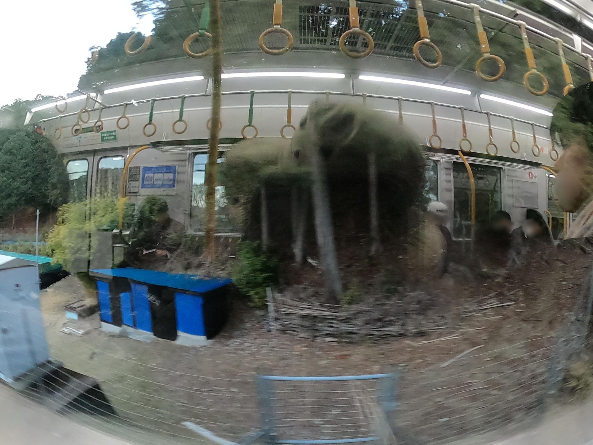 Street view near もみじや, Taiji — © castletrain (CC BY-SA · Mapillary)